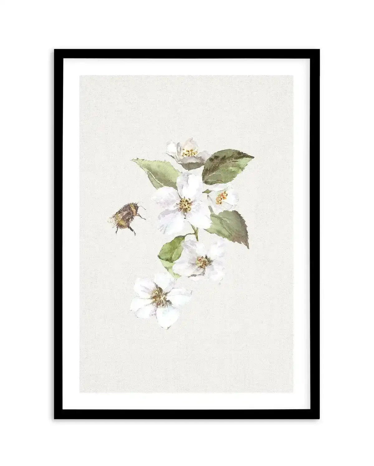 Botanica Bees II Art Print-PRINT-Olive et Oriel-Olive et Oriel-A5 | 5.8" x 8.3" | 14.8 x 21cm-Black-With White Border-Buy-Australian-Art-Prints-Online-with-Olive-et-Oriel-Your-Artwork-Specialists-Austrailia-Decorate-With-Coastal-Photo-Wall-Art-Prints-From-Our-Beach-House-Artwork-Collection-Fine-Poster-and-Framed-Artwork
