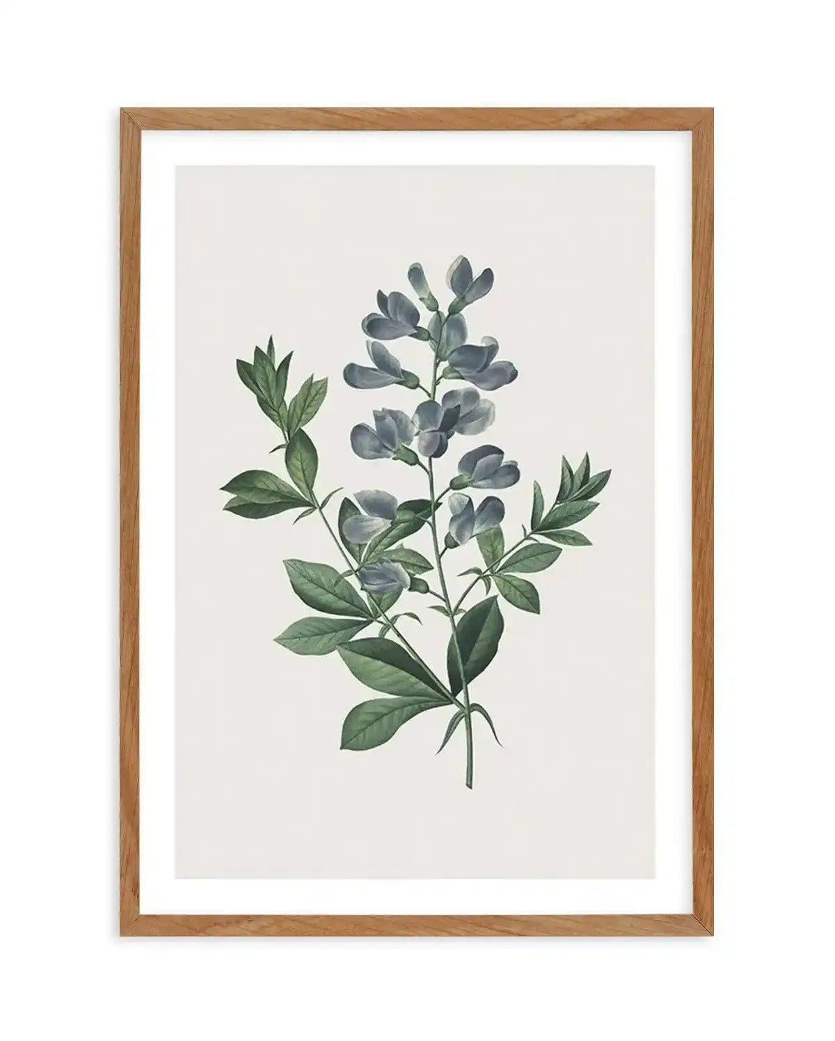 Botanica I Art Print-PRINT-Olive et Oriel-Olive et Oriel-Buy-Australian-Art-Prints-Online-with-Olive-et-Oriel-Your-Artwork-Specialists-Austrailia-Decorate-With-Coastal-Photo-Wall-Art-Prints-From-Our-Beach-House-Artwork-Collection-Fine-Poster-and-Framed-Artwork