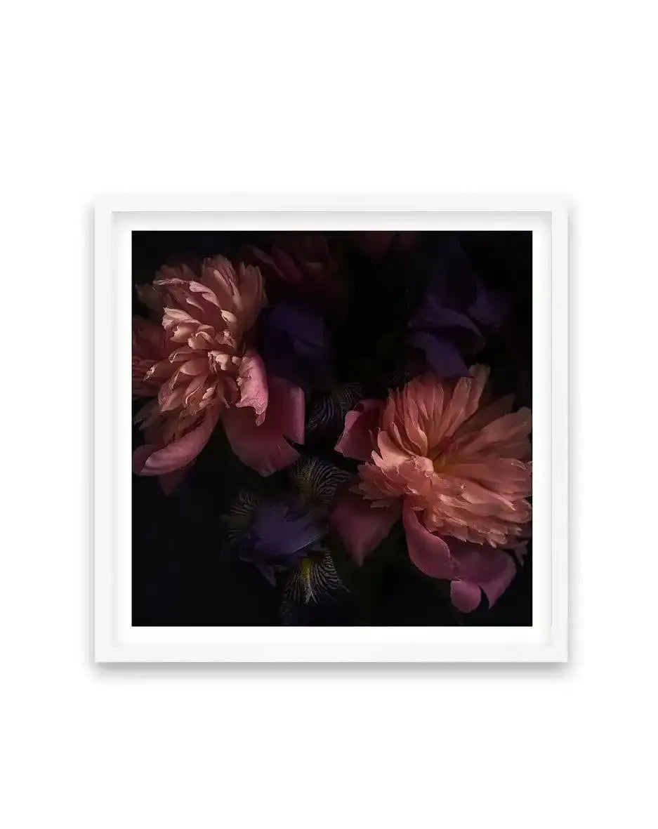 Botanica II SQ Art Print-PRINT-Olive et Oriel-Olive et Oriel-70x70 cm | 27.5" x 27.5"-White-With White Border-Buy-Australian-Art-Prints-Online-with-Olive-et-Oriel-Your-Artwork-Specialists-Austrailia-Decorate-With-Coastal-Photo-Wall-Art-Prints-From-Our-Beach-House-Artwork-Collection-Fine-Poster-and-Framed-Artwork