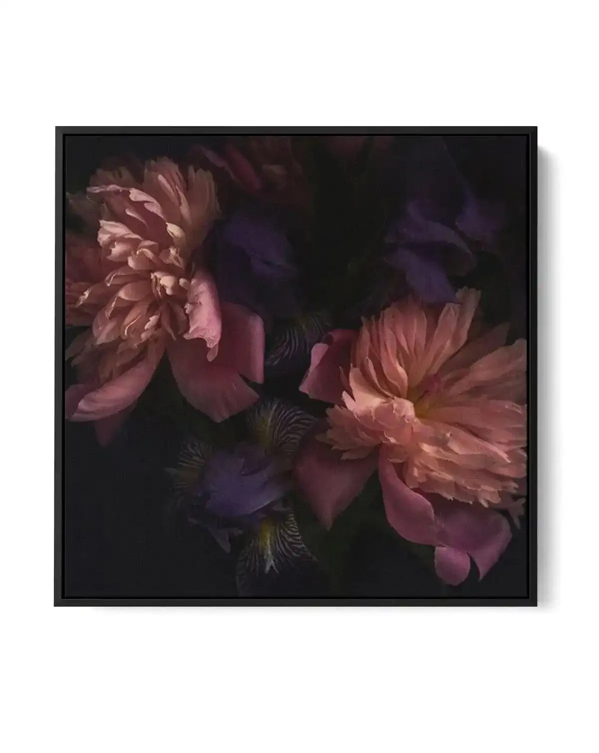 Botanica II SQ | Framed Canvas-CANVAS-You can shop wall art online with Olive et Oriel for everything from abstract art to fun kids wall art. Our beautiful modern art prints and canvas art are available from large canvas prints to wall art paintings and our proudly Australian artwork collection offers only the highest quality framed large wall art and canvas art Australia - You can buy fashion photography prints or Hampton print posters and paintings on canvas from Olive et Oriel and have them d