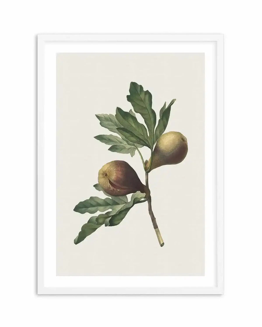 Watercolour art print featuring two ripe figs on a branch with green leaves, displayed in a white frame with white border. The figs are depicted with a brownish-purple hue and subtle texture, while the leaves are a deep, muted green.