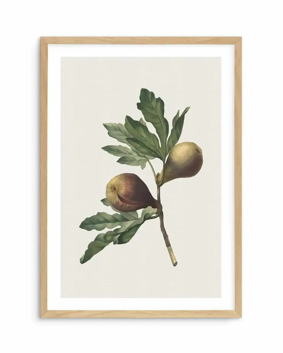 Watercolour art print featuring a botanical illustration of a fig branch with two ripe figs and several green leaves, printed on fine art paper and displayed in a natural oak frame with white border. The figs are depicted in shades of brown and purple, with one appearing more golden-brown and the other a deeper reddish-brown, both with subtle textural details. The leaves are a muted green with visible veins and a slightly wavy edge, and the branch is a simple brown stem.