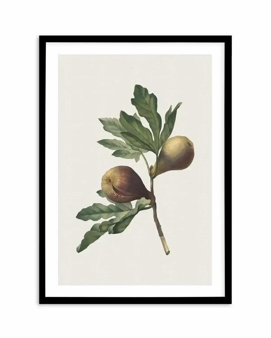 Watercolour art print featuring a botanical illustration of a fig branch with two ripe figs and several green leaves on a light cream background, displayed in a black frame with a white border. The figs are depicted in shades of brown and green, with one showing a slight opening revealing its reddish interior.