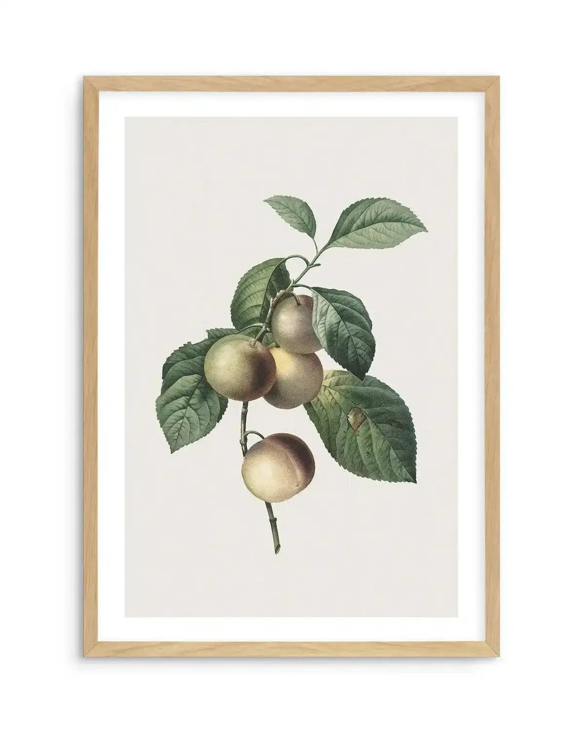 Botanica VIII Art Print-PRINT-Olive et Oriel-Olive et Oriel-A5 | 5.8" x 8.3" | 14.8 x 21cm-Oak-With White Border-Buy-Australian-Art-Prints-Online-with-Olive-et-Oriel-Your-Artwork-Specialists-Austrailia-Decorate-With-Coastal-Photo-Wall-Art-Prints-From-Our-Beach-House-Artwork-Collection-Fine-Poster-and-Framed-Artwork
