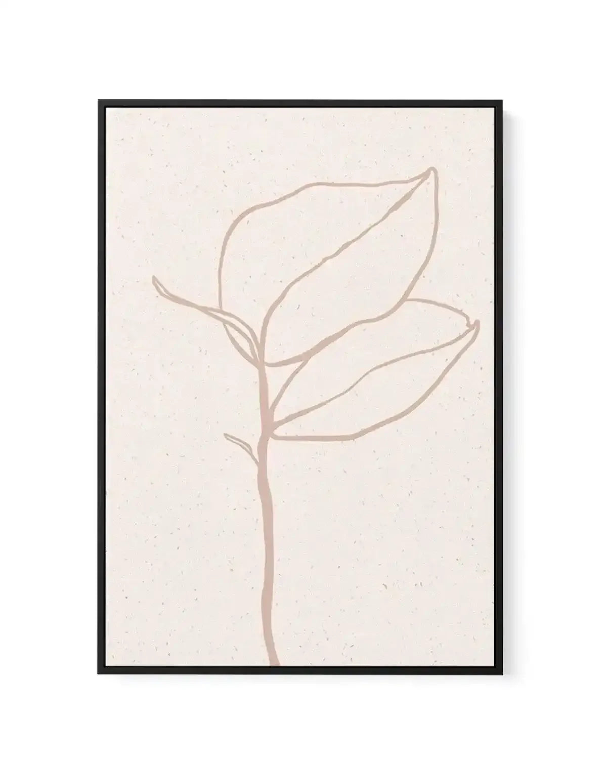 Botanical II | Framed Canvas-CANVAS-You can shop wall art online with Olive et Oriel for everything from abstract art to fun kids wall art. Our beautiful modern art prints and canvas art are available from large canvas prints to wall art paintings and our proudly Australian artwork collection offers only the highest quality framed large wall art and canvas art Australia - You can buy fashion photography prints or Hampton print posters and paintings on canvas from Olive et Oriel and have them del