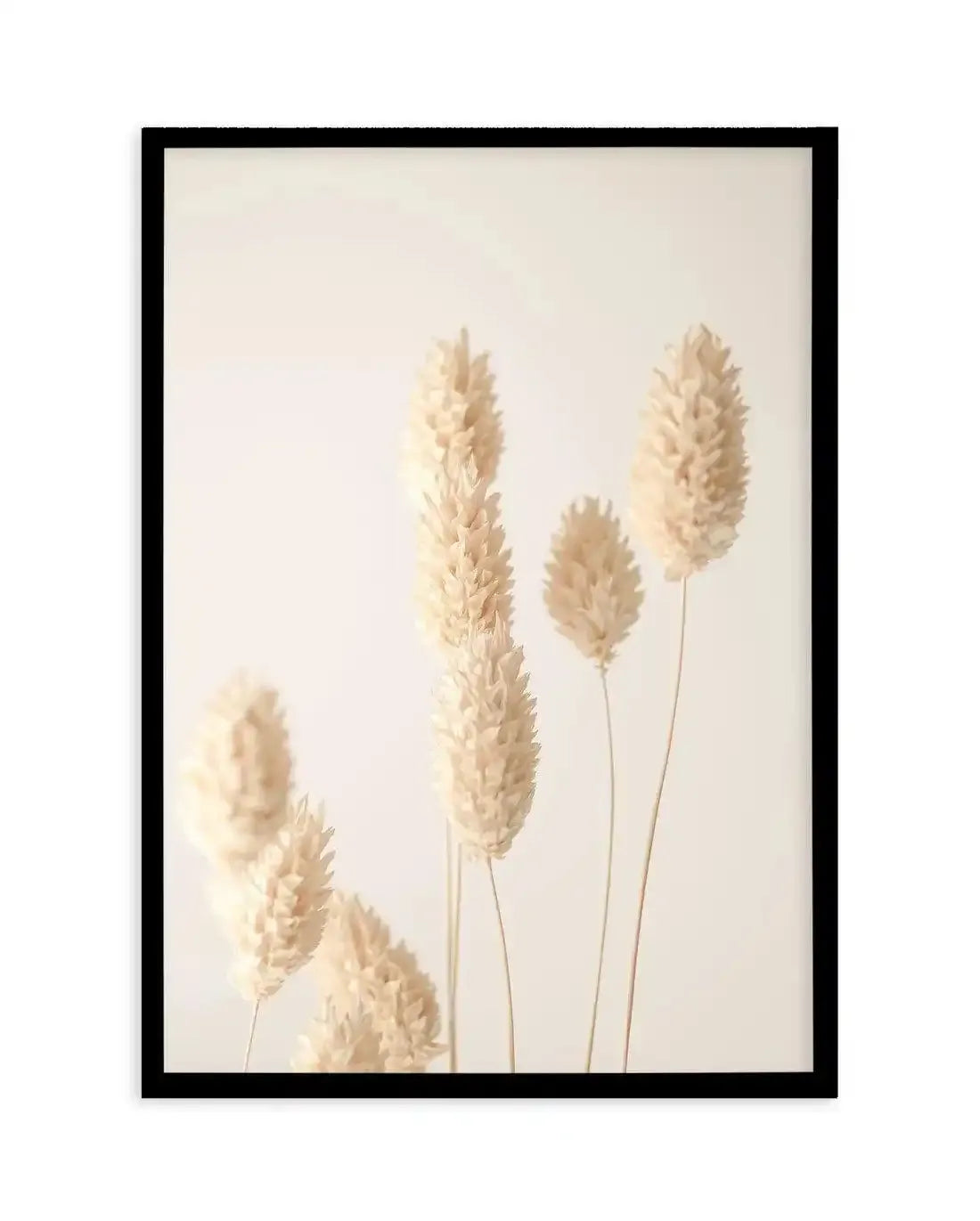 Botanique D'or I Art Print-PRINT-Olive et Oriel-Olive et Oriel-A5 | 5.8" x 8.3" | 14.8 x 21cm-Black-With White Border-Buy-Australian-Art-Prints-Online-with-Olive-et-Oriel-Your-Artwork-Specialists-Austrailia-Decorate-With-Coastal-Photo-Wall-Art-Prints-From-Our-Beach-House-Artwork-Collection-Fine-Poster-and-Framed-Artwork