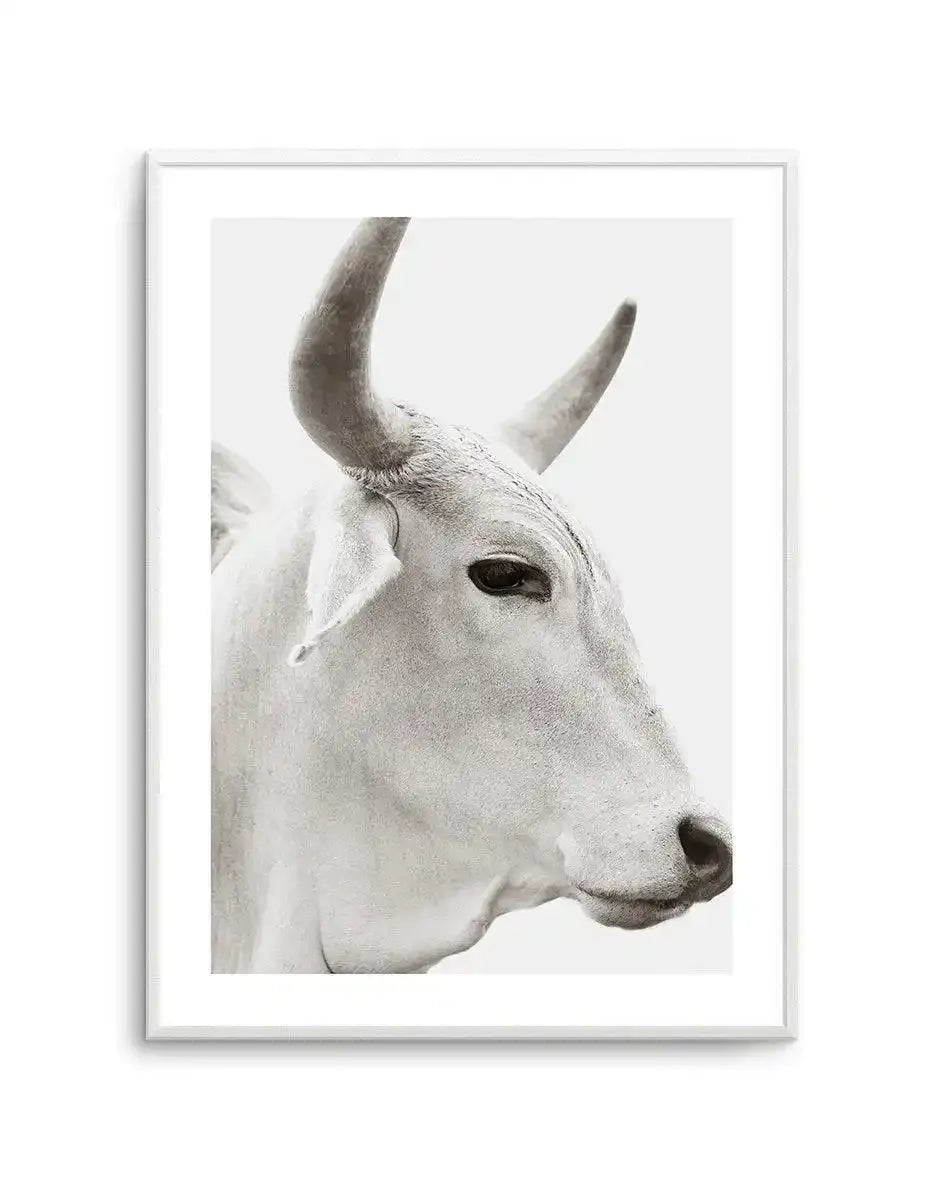Bovine Art Print-PRINT-Olive et Oriel-Olive et Oriel-A5 | 5.8" x 8.3" | 14.8 x 21cm-Unframed Art Print-With White Border-Buy-Australian-Art-Prints-Online-with-Olive-et-Oriel-Your-Artwork-Specialists-Austrailia-Decorate-With-Coastal-Photo-Wall-Art-Prints-From-Our-Beach-House-Artwork-Collection-Fine-Poster-and-Framed-Artwork
