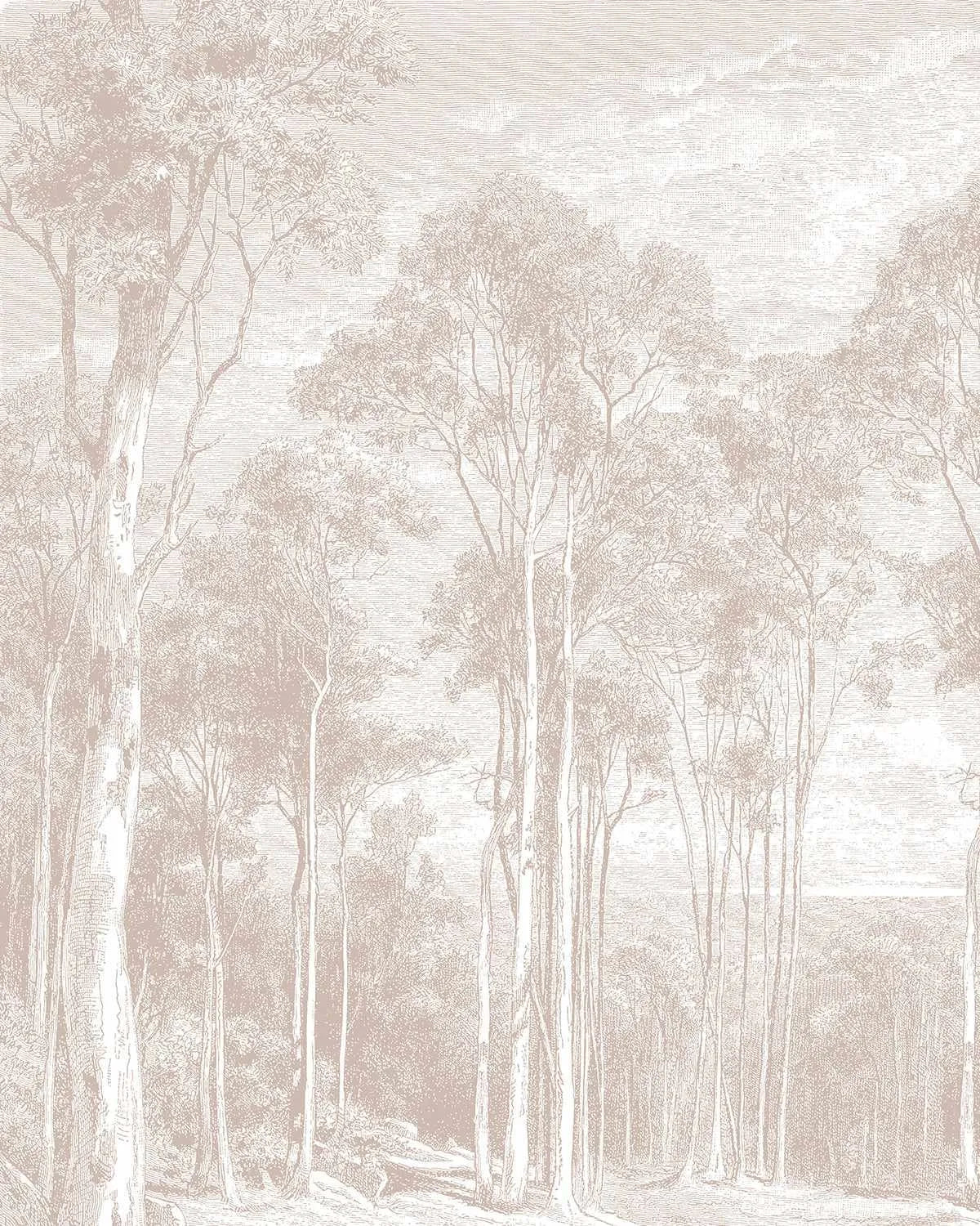 Eucalyptus Trees in Red Gum Wallpaper Mural from Olive et Oriel where you can shop wallpaper and artworks online