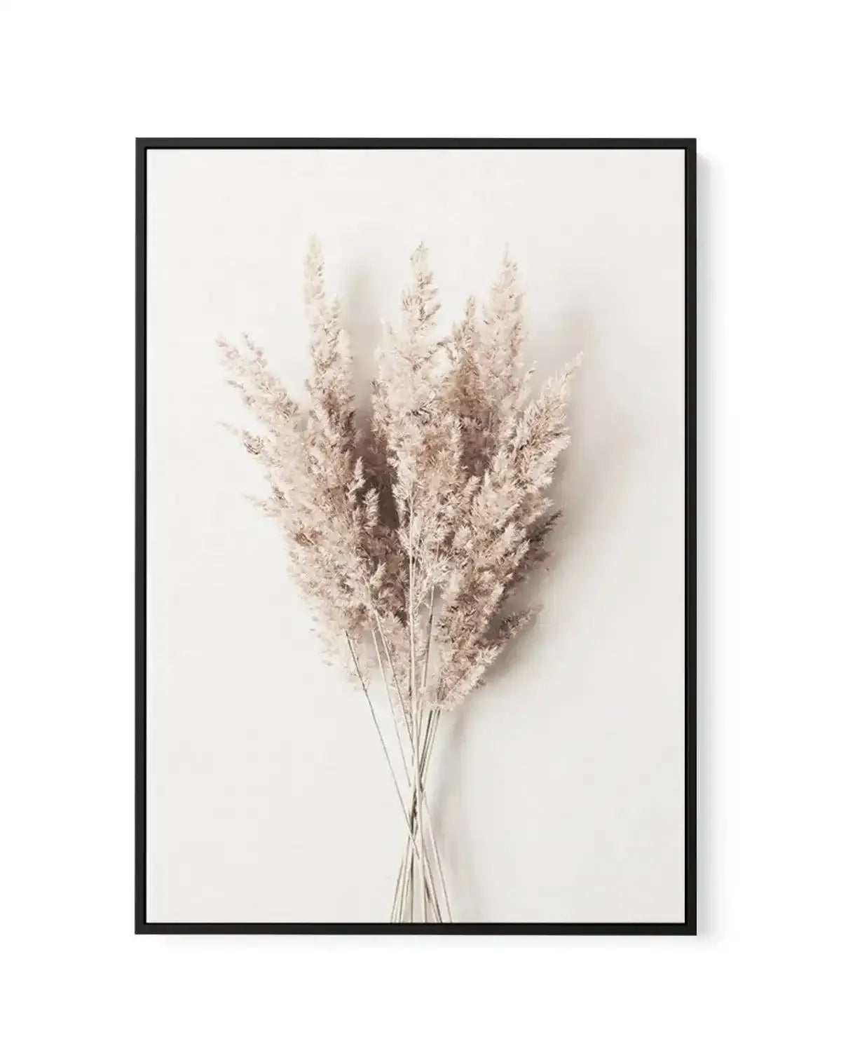 Bundled Beauty | Framed Canvas-CANVAS-You can shop wall art online with Olive et Oriel for everything from abstract art to fun kids wall art. Our beautiful modern art prints and canvas art are available from large canvas prints to wall art paintings and our proudly Australian artwork collection offers only the highest quality framed large wall art and canvas art Australia - You can buy fashion photography prints or Hampton print posters and paintings on canvas from Olive et Oriel and have them d