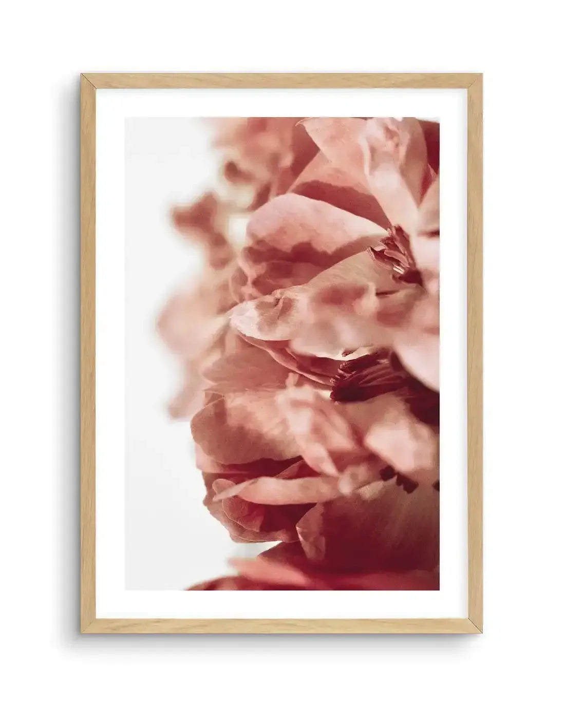 Burnt Peony II Art Print-PRINT-Olive et Oriel-Olive et Oriel-A5 | 5.8" x 8.3" | 14.8 x 21cm-Oak-With White Border-Buy-Australian-Art-Prints-Online-with-Olive-et-Oriel-Your-Artwork-Specialists-Austrailia-Decorate-With-Coastal-Photo-Wall-Art-Prints-From-Our-Beach-House-Artwork-Collection-Fine-Poster-and-Framed-Artwork