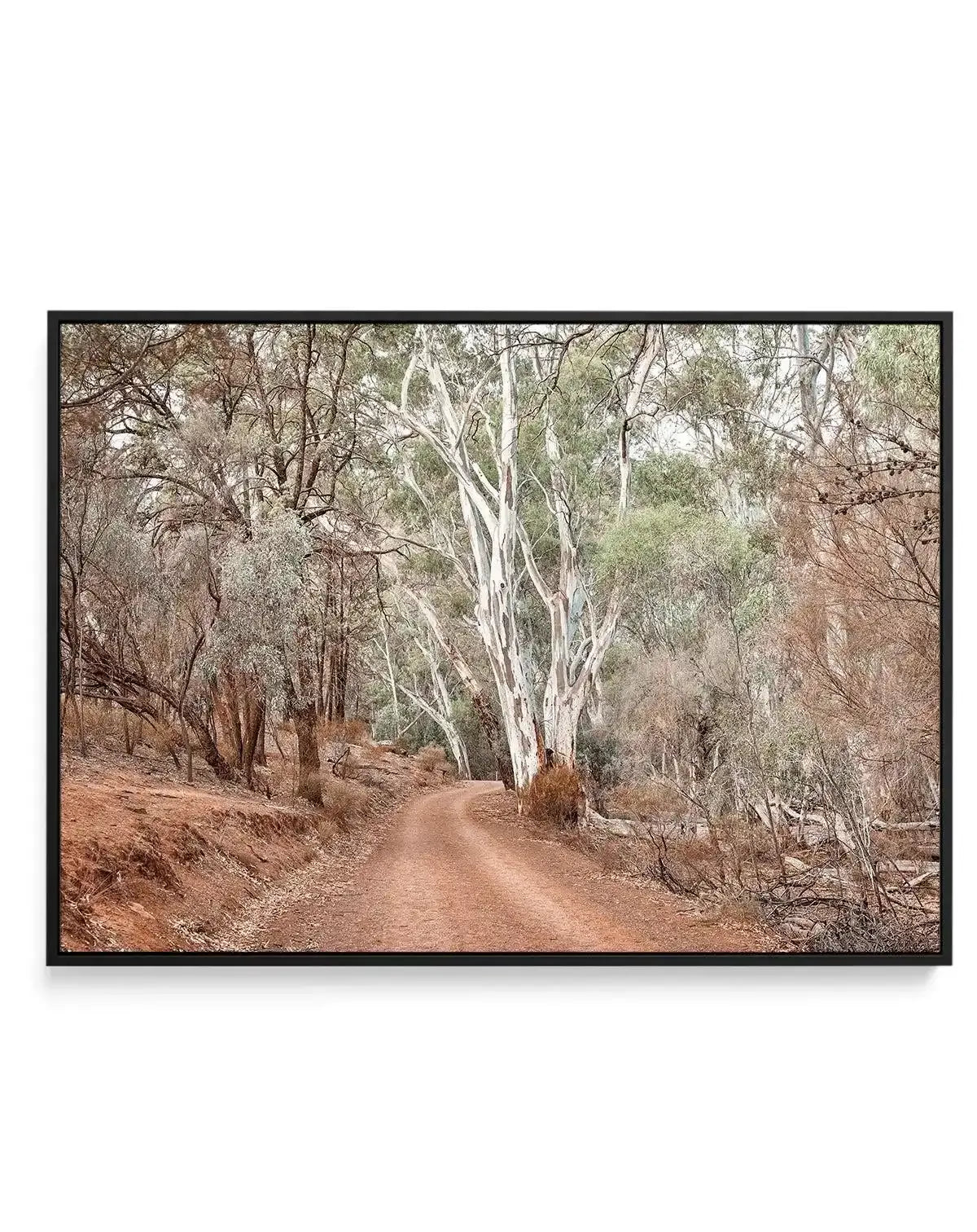 Bush Tracks | Framed Canvas-CANVAS-You can shop wall art online with Olive et Oriel for everything from abstract art to fun kids wall art. Our beautiful modern art prints and canvas art are available from large canvas prints to wall art paintings and our proudly Australian artwork collection offers only the highest quality framed large wall art and canvas art Australia - You can buy fashion photography prints or Hampton print posters and paintings on canvas from Olive et Oriel and have them deli