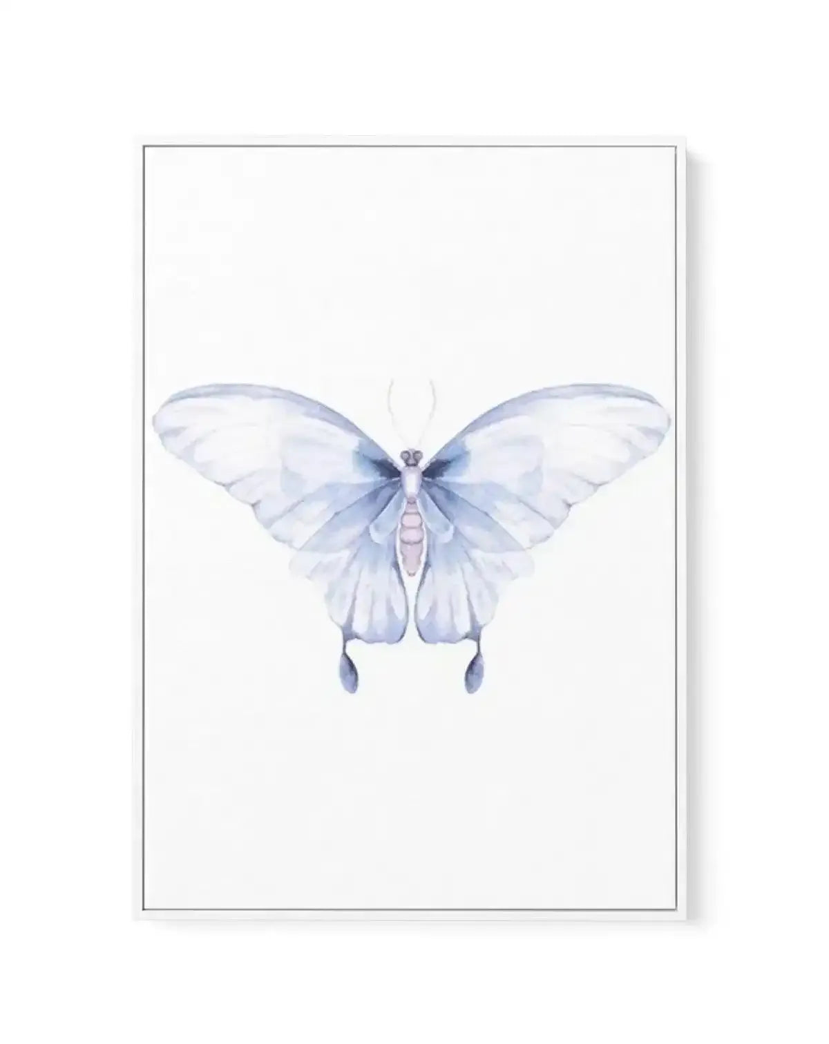 Butterfly I | Framed Canvas-CANVAS-You can shop wall art online with Olive et Oriel for everything from abstract art to fun kids wall art. Our beautiful modern art prints and canvas art are available from large canvas prints to wall art paintings and our proudly Australian artwork collection offers only the highest quality framed large wall art and canvas art Australia - You can buy fashion photography prints or Hampton print posters and paintings on canvas from Olive et Oriel and have them deli