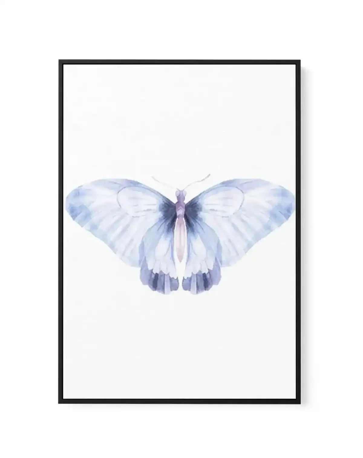 Butterfly III | Framed Canvas-CANVAS-You can shop wall art online with Olive et Oriel for everything from abstract art to fun kids wall art. Our beautiful modern art prints and canvas art are available from large canvas prints to wall art paintings and our proudly Australian artwork collection offers only the highest quality framed large wall art and canvas art Australia - You can buy fashion photography prints or Hampton print posters and paintings on canvas from Olive et Oriel and have them de