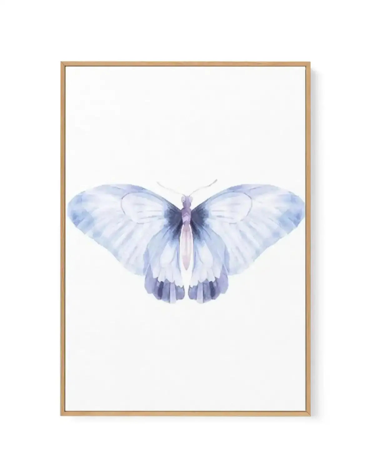 Butterfly III | Framed Canvas-CANVAS-You can shop wall art online with Olive et Oriel for everything from abstract art to fun kids wall art. Our beautiful modern art prints and canvas art are available from large canvas prints to wall art paintings and our proudly Australian artwork collection offers only the highest quality framed large wall art and canvas art Australia - You can buy fashion photography prints or Hampton print posters and paintings on canvas from Olive et Oriel and have them de