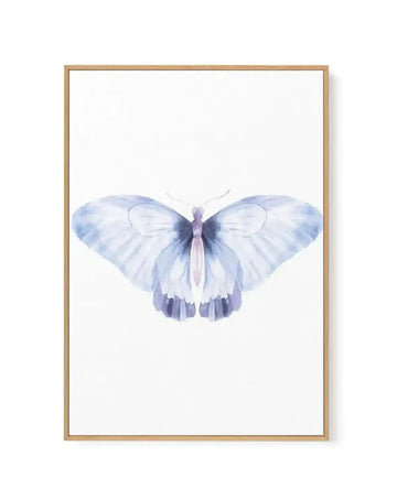 Butterfly III | Framed Canvas-CANVAS-You can shop wall art online with Olive et Oriel for everything from abstract art to fun kids wall art. Our beautiful modern art prints and canvas art are available from large canvas prints to wall art paintings and our proudly Australian artwork collection offers only the highest quality framed large wall art and canvas art Australia - You can buy fashion photography prints or Hampton print posters and paintings on canvas from Olive et Oriel and have them de