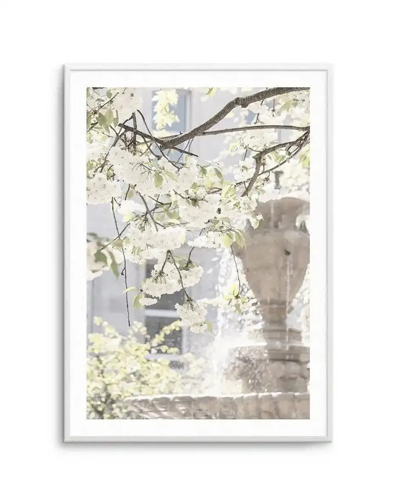 Framed photograph of white cherry blossoms hanging over a stone fountain, with a soft, bright, and airy composition. The white frame has a white border.