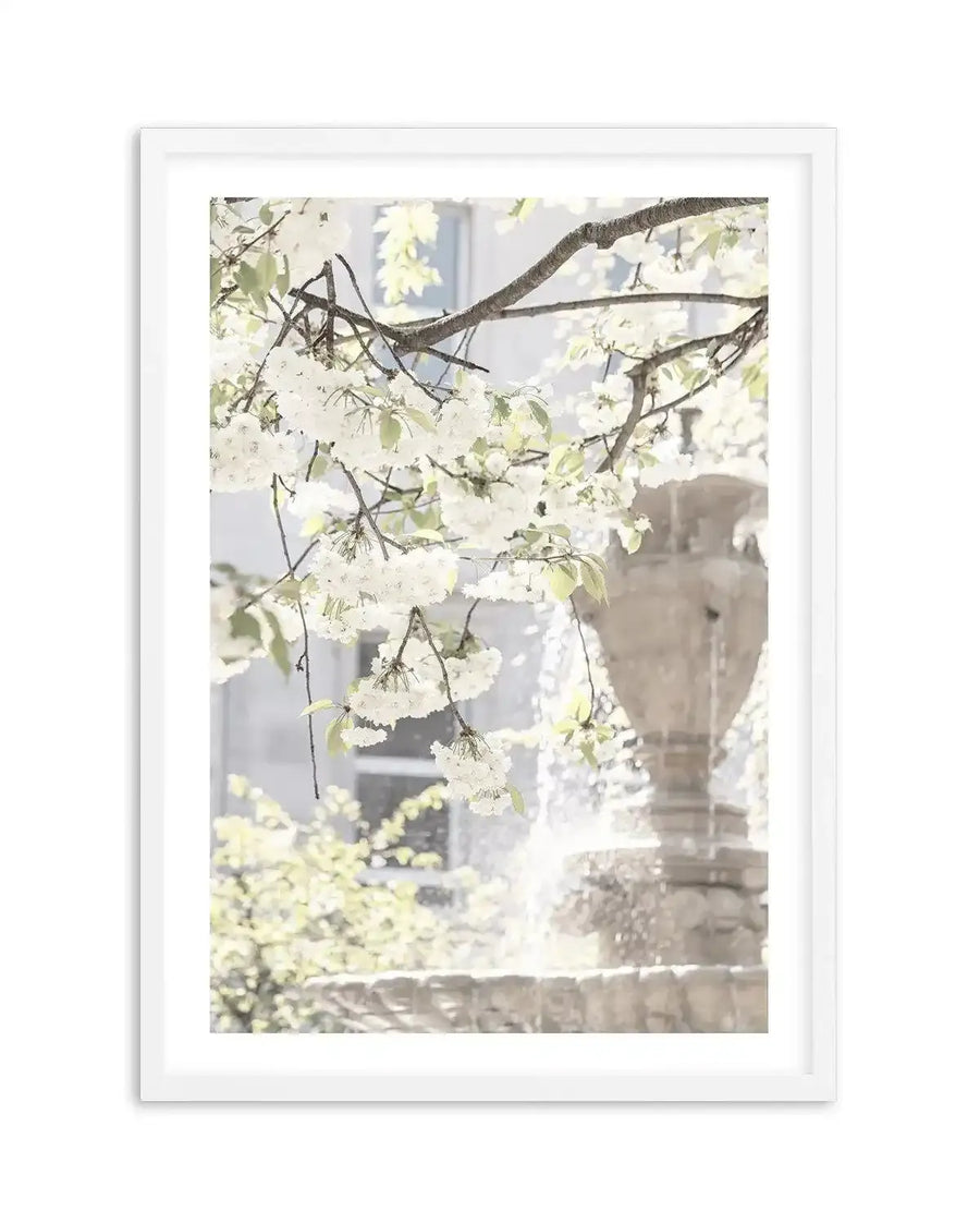 Framed photograph of white cherry blossoms hanging over a stone fountain with water splashing, set against a soft, bright background of a building and green foliage, with a white frame and white border.