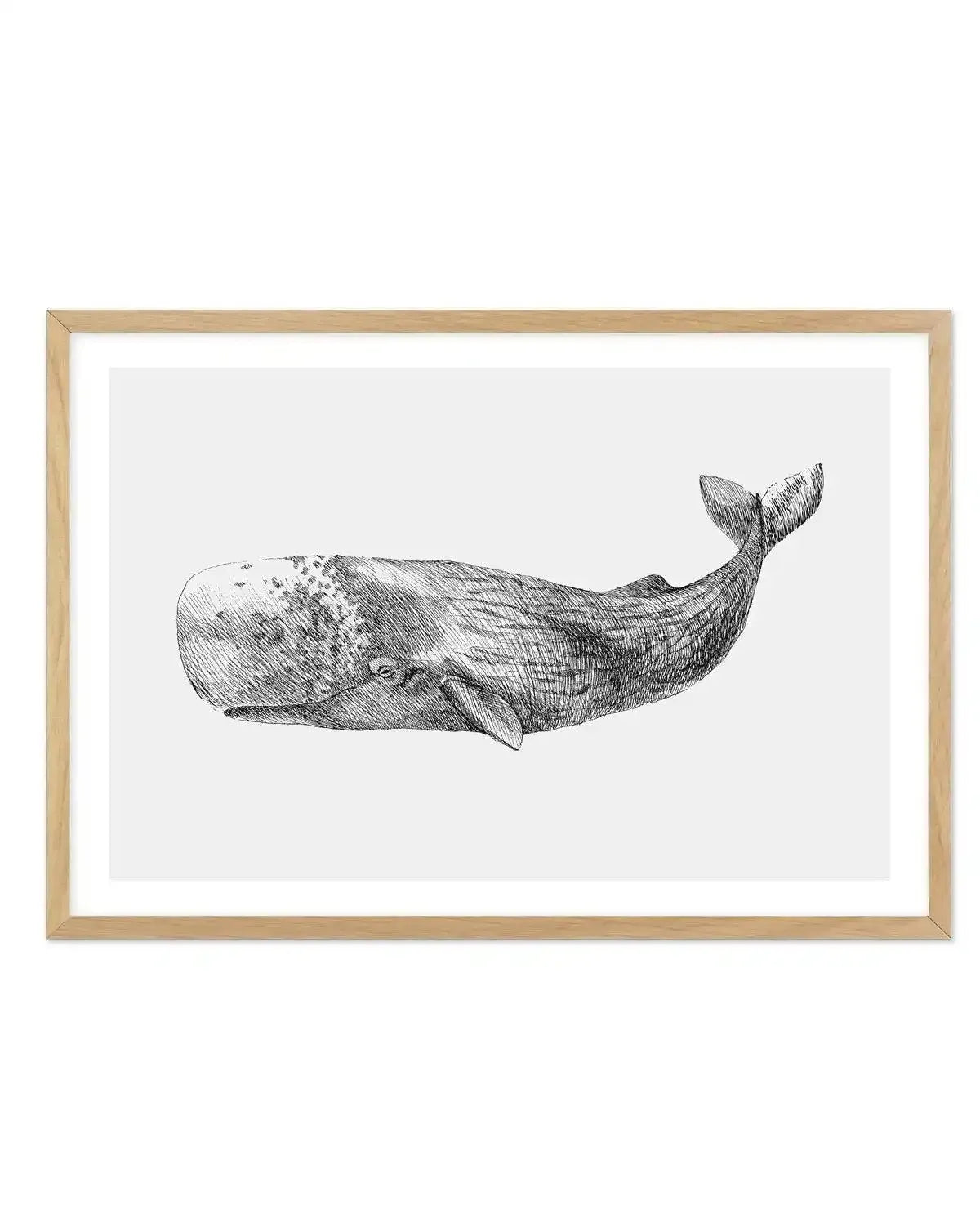 Cachalot Whale | LS Art Print-PRINT-Olive et Oriel-Olive et Oriel-A5 | 5.8" x 8.3" | 14.8 x 21cm-Oak-With White Border-Buy-Australian-Art-Prints-Online-with-Olive-et-Oriel-Your-Artwork-Specialists-Austrailia-Decorate-With-Coastal-Photo-Wall-Art-Prints-From-Our-Beach-House-Artwork-Collection-Fine-Poster-and-Framed-Artwork