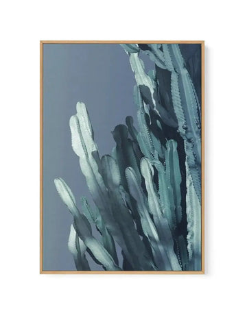 Cactus In Blue I | Framed Canvas-CANVAS-You can shop wall art online with Olive et Oriel for everything from abstract art to fun kids wall art. Our beautiful modern art prints and canvas art are available from large canvas prints to wall art paintings and our proudly Australian artwork collection offers only the highest quality framed large wall art and canvas art Australia - You can buy fashion photography prints or Hampton print posters and paintings on canvas from Olive et Oriel and have them
