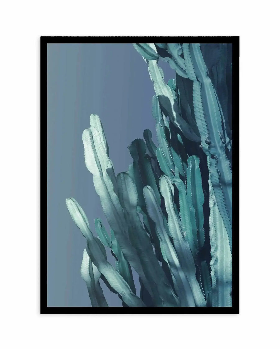 Vertical art print featuring a cluster of columnar cacti against a muted blue-grey background. The cacti display soft green and pale cream tones with delicate shadowing that creates depth and dimension. The composition shows the plants from a low angle, emphasizing their upright growth. The artwork has a soft, painterly quality with subtle colour variations and gentle transitions. Black frame with white border surrounding the design.