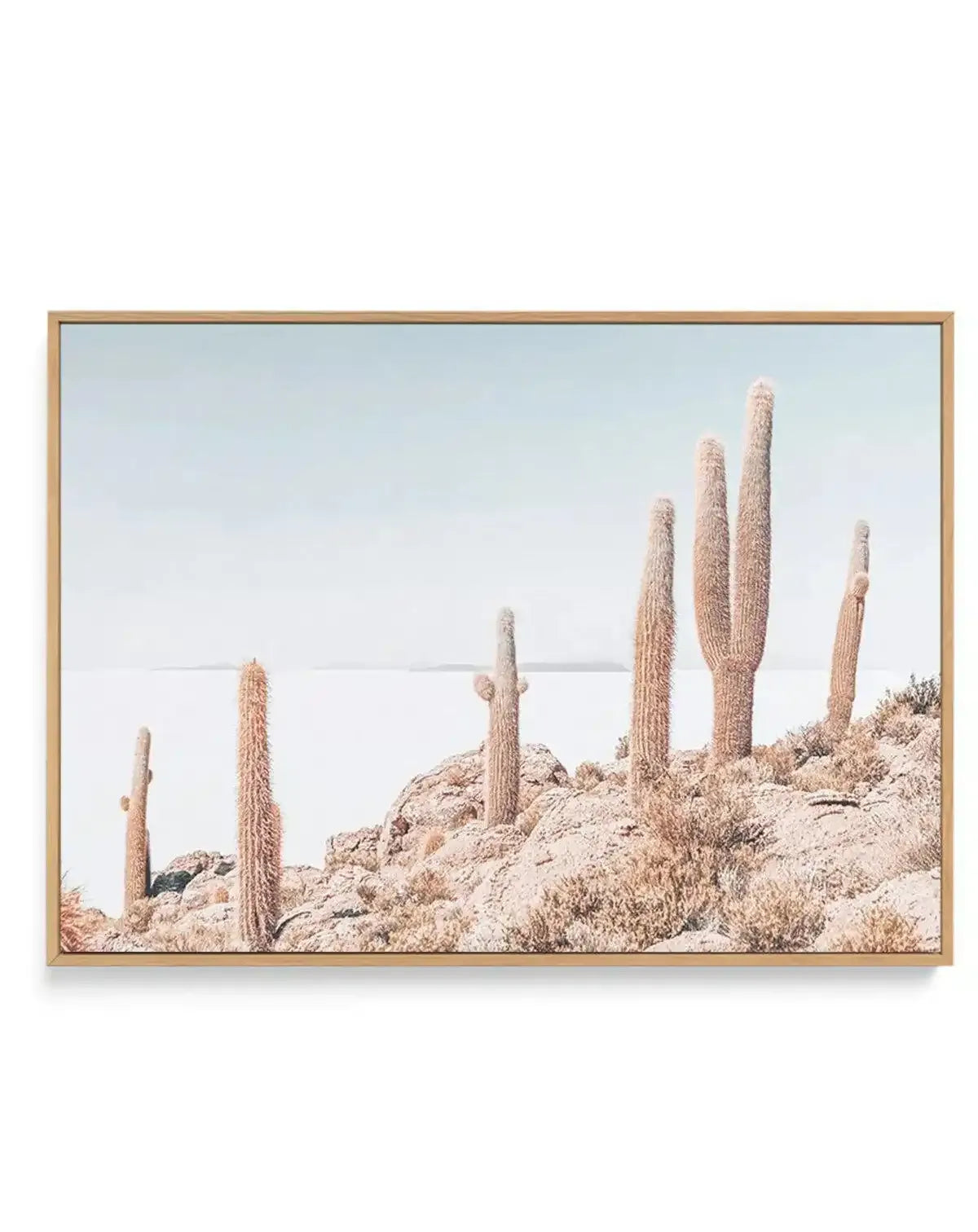 Cactus Island | Bolivia | Framed Canvas-CANVAS-You can shop wall art online with Olive et Oriel for everything from abstract art to fun kids wall art. Our beautiful modern art prints and canvas art are available from large canvas prints to wall art paintings and our proudly Australian artwork collection offers only the highest quality framed large wall art and canvas art Australia - You can buy fashion photography prints or Hampton print posters and paintings on canvas from Olive et Oriel and ha