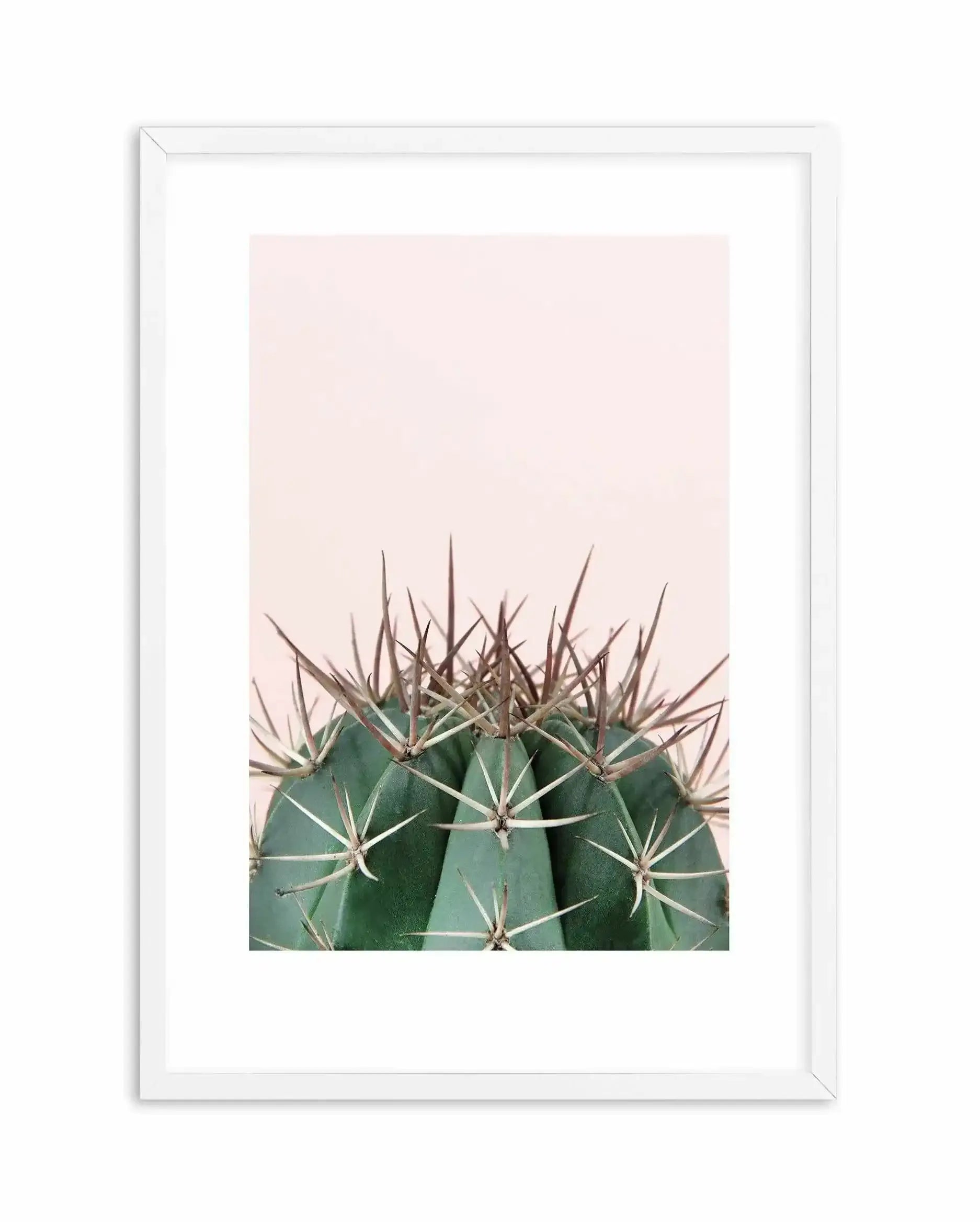 Cactus On Pink II Art Print-PRINT-Olive et Oriel-Olive et Oriel-A5 | 5.8" x 8.3" | 14.8 x 21cm-White-With White Border-Buy-Australian-Art-Prints-Online-with-Olive-et-Oriel-Your-Artwork-Specialists-Austrailia-Decorate-With-Coastal-Photo-Wall-Art-Prints-From-Our-Beach-House-Artwork-Collection-Fine-Poster-and-Framed-Artwork