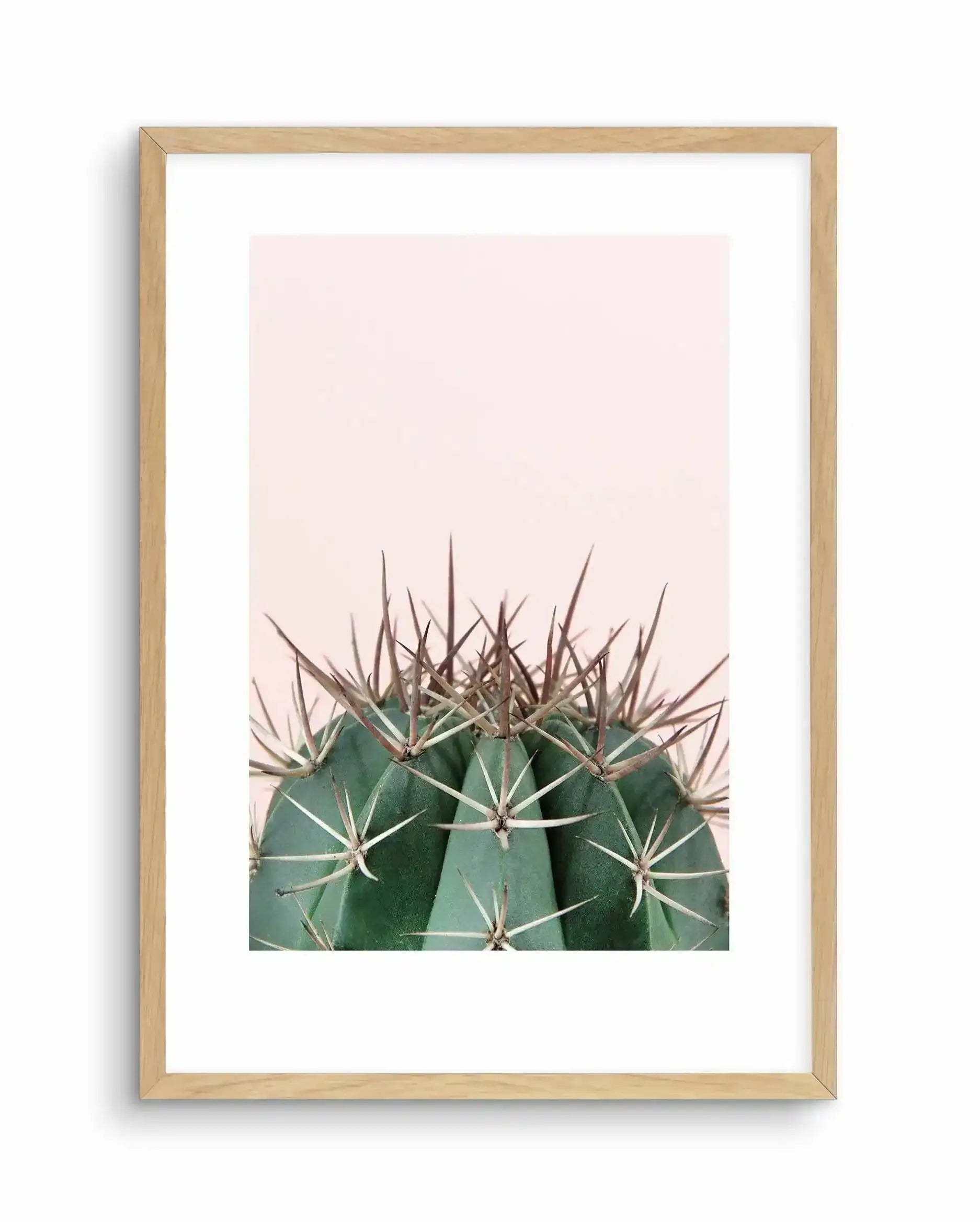 Cactus On Pink II Art Print-PRINT-Olive et Oriel-Olive et Oriel-A5 | 5.8" x 8.3" | 14.8 x 21cm-Oak-With White Border-Buy-Australian-Art-Prints-Online-with-Olive-et-Oriel-Your-Artwork-Specialists-Austrailia-Decorate-With-Coastal-Photo-Wall-Art-Prints-From-Our-Beach-House-Artwork-Collection-Fine-Poster-and-Framed-Artwork