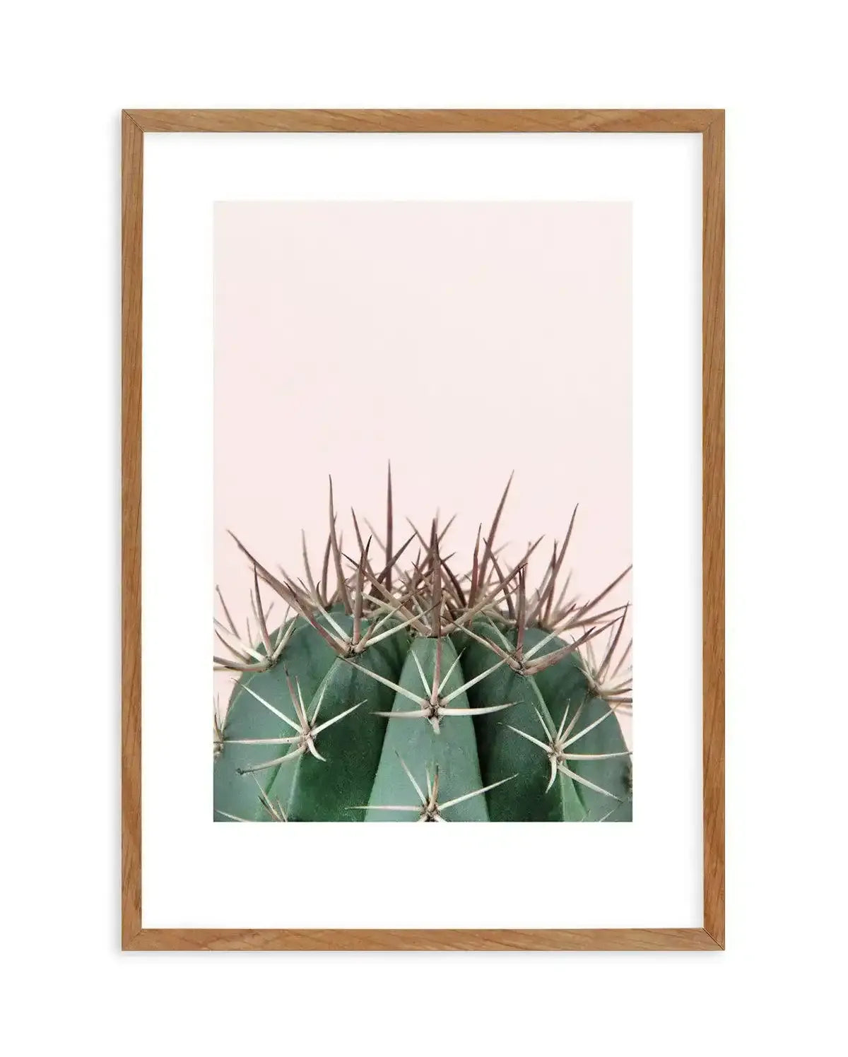 Cactus On Pink II Art Print-PRINT-Olive et Oriel-Olive et Oriel-50x70 cm | 19.6" x 27.5"-Walnut-With White Border-Buy-Australian-Art-Prints-Online-with-Olive-et-Oriel-Your-Artwork-Specialists-Austrailia-Decorate-With-Coastal-Photo-Wall-Art-Prints-From-Our-Beach-House-Artwork-Collection-Fine-Poster-and-Framed-Artwork