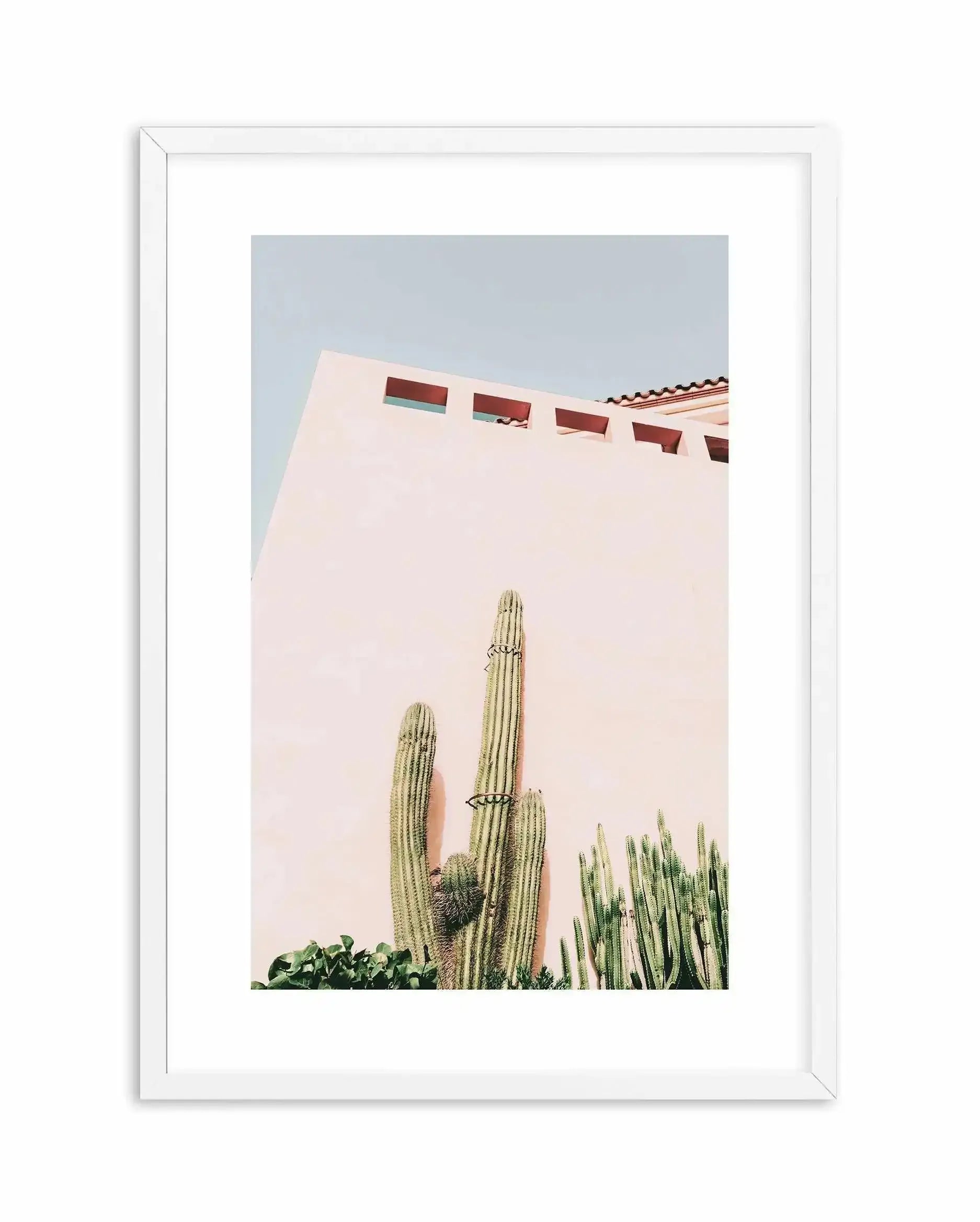 Cactus Wall I Art Print-PRINT-Olive et Oriel-Olive et Oriel-A5 | 5.8" x 8.3" | 14.8 x 21cm-White-With White Border-Buy-Australian-Art-Prints-Online-with-Olive-et-Oriel-Your-Artwork-Specialists-Austrailia-Decorate-With-Coastal-Photo-Wall-Art-Prints-From-Our-Beach-House-Artwork-Collection-Fine-Poster-and-Framed-Artwork