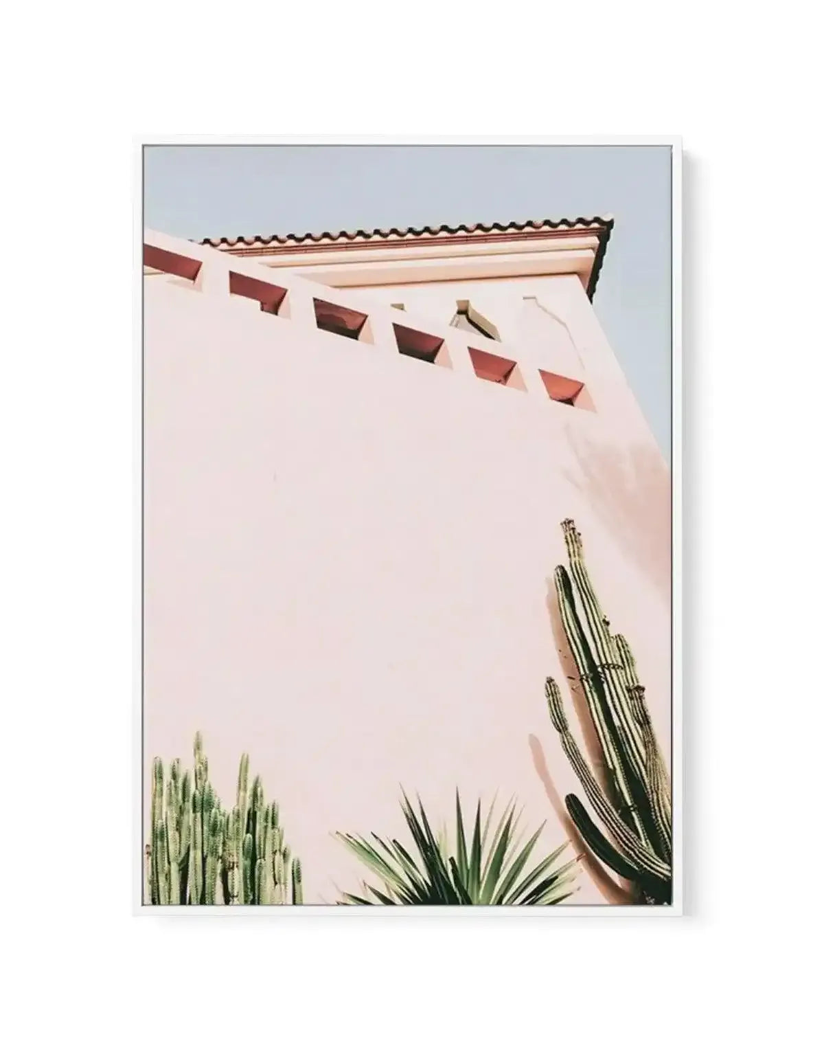 Cactus Wall II | Framed Canvas-CANVAS-You can shop wall art online with Olive et Oriel for everything from abstract art to fun kids wall art. Our beautiful modern art prints and canvas art are available from large canvas prints to wall art paintings and our proudly Australian artwork collection offers only the highest quality framed large wall art and canvas art Australia - You can buy fashion photography prints or Hampton print posters and paintings on canvas from Olive et Oriel and have them d