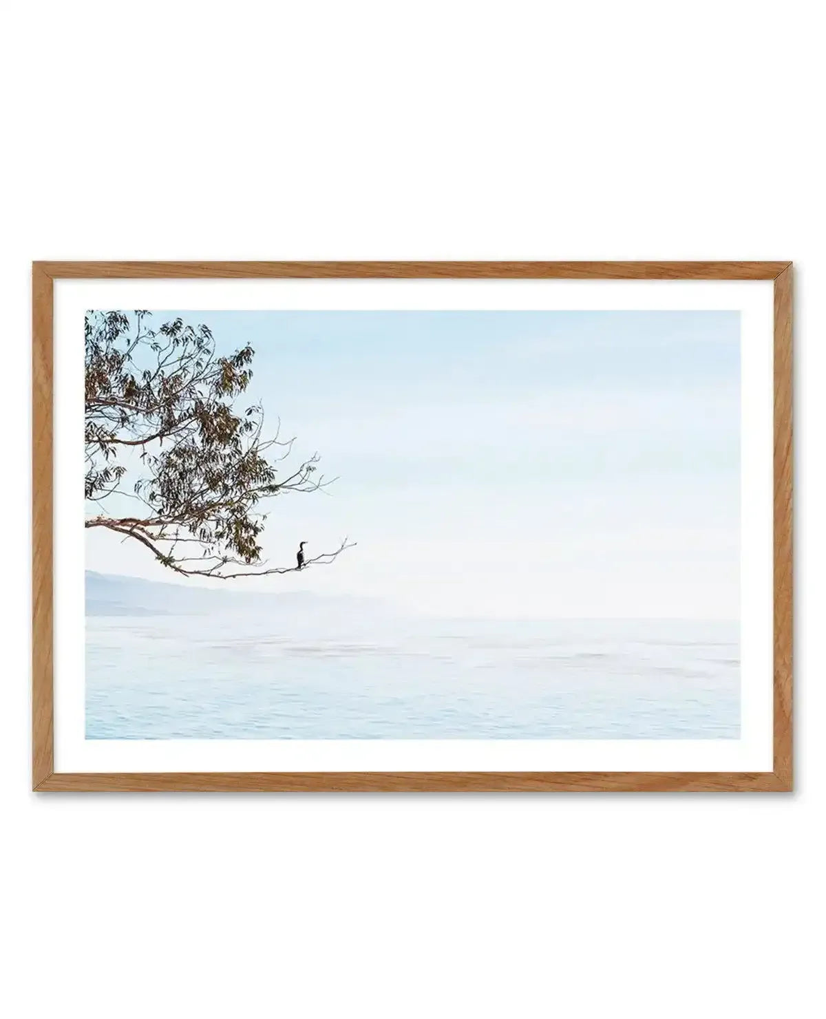 Calm View Art Print-PRINT-Olive et Oriel-Olive et Oriel-Buy-Australian-Art-Prints-Online-with-Olive-et-Oriel-Your-Artwork-Specialists-Austrailia-Decorate-With-Coastal-Photo-Wall-Art-Prints-From-Our-Beach-House-Artwork-Collection-Fine-Poster-and-Framed-Artwork