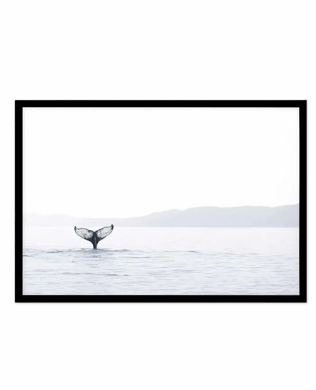 Whale Song Art Print-PRINT-Olive et Oriel-Olive et Oriel-A5 | 5.8" x 8.3" | 14.8 x 21cm-Black-With White Border-Buy-Australian-Art-Prints-Online-with-Olive-et-Oriel-Your-Artwork-Specialists-Austrailia-Decorate-With-Coastal-Photo-Wall-Art-Prints-From-Our-Beach-House-Artwork-Collection-Fine-Poster-and-Framed-Artwork