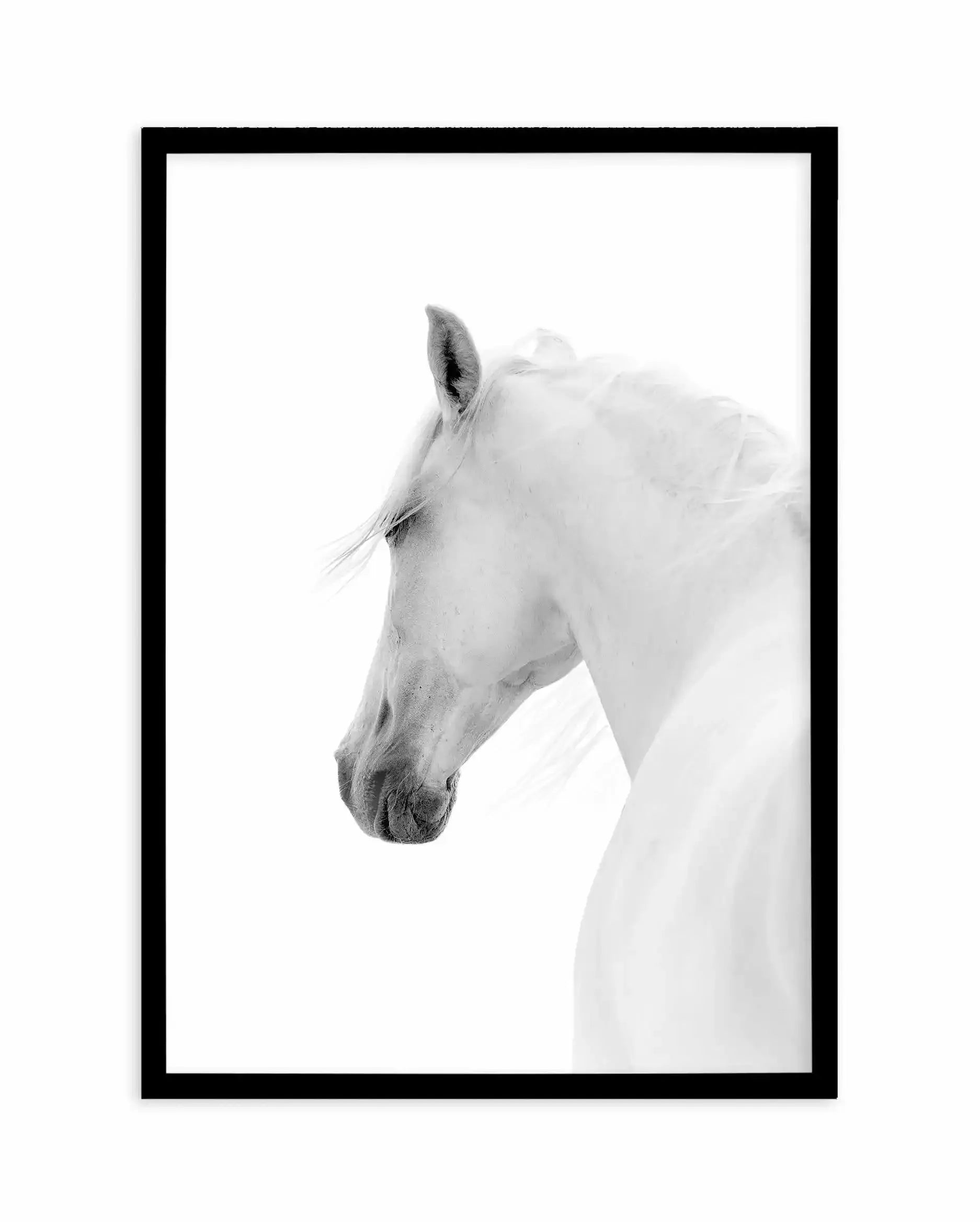Cheval de L'esprit Art Print-PRINT-Olive et Oriel-Olive et Oriel-A5 | 5.8" x 8.3" | 14.8 x 21cm-Black-With White Border-Buy-Australian-Art-Prints-Online-with-Olive-et-Oriel-Your-Artwork-Specialists-Austrailia-Decorate-With-Coastal-Photo-Wall-Art-Prints-From-Our-Beach-House-Artwork-Collection-Fine-Poster-and-Framed-Artwork