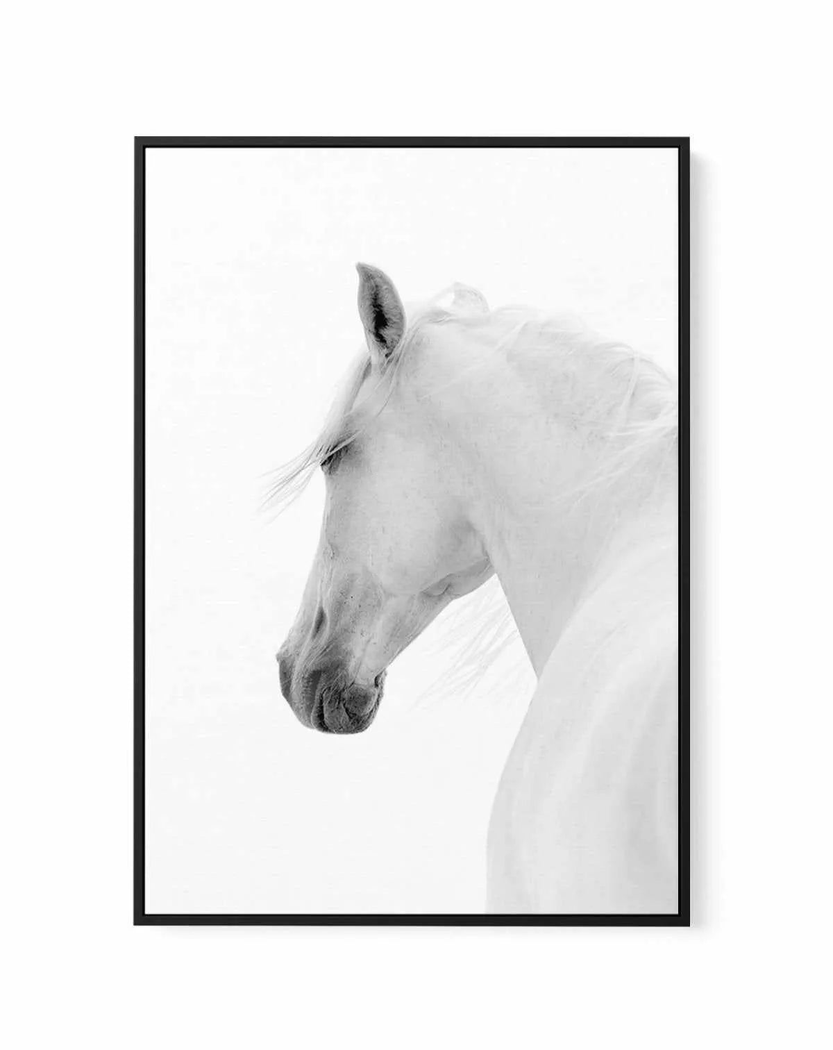 Cheval de L'esprit | Framed Canvas-CANVAS-You can shop wall art online with Olive et Oriel for everything from abstract art to fun kids wall art. Our beautiful modern art prints and canvas art are available from large canvas prints to wall art paintings and our proudly Australian artwork collection offers only the highest quality framed large wall art and canvas art Australia - You can buy fashion photography prints or Hampton print posters and paintings on canvas from Olive et Oriel and have th