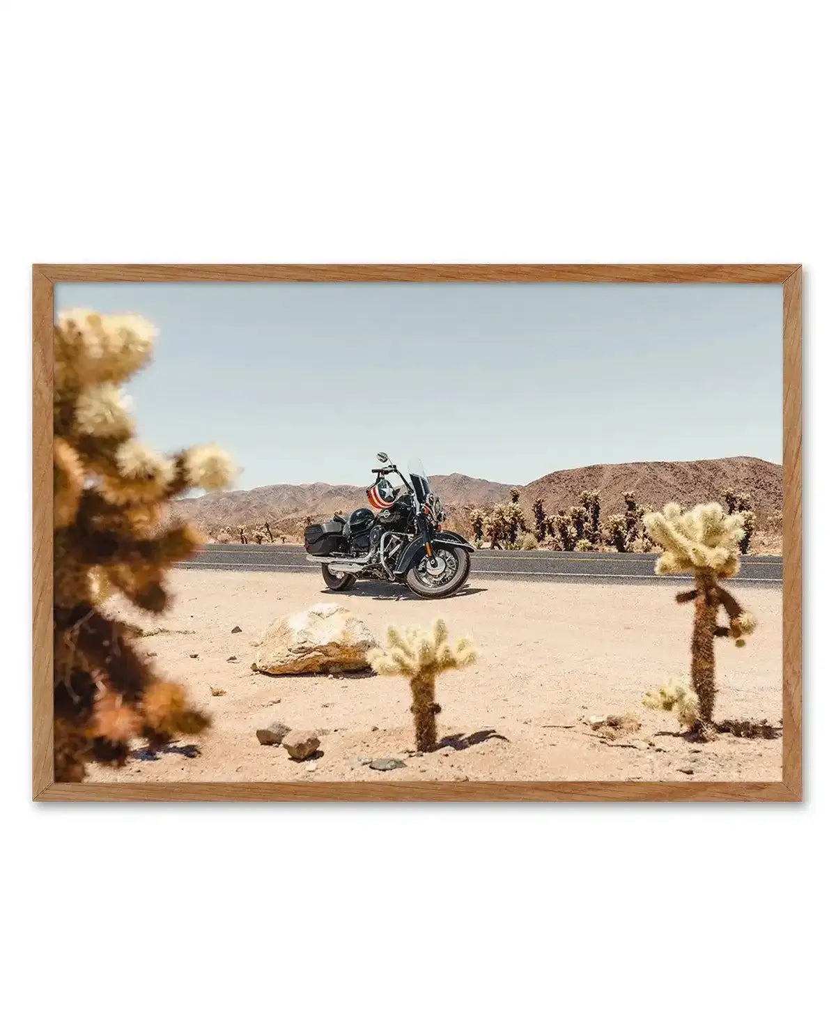 Cholla Garden By Tim Harris Art Print-PRINT-Olive et Oriel-Tim Harris-50x70 cm | 19.6" x 27.5"-Walnut-With White Border-Buy-Australian-Art-Prints-Online-with-Olive-et-Oriel-Your-Artwork-Specialists-Austrailia-Decorate-With-Coastal-Photo-Wall-Art-Prints-From-Our-Beach-House-Artwork-Collection-Fine-Poster-and-Framed-Artwork