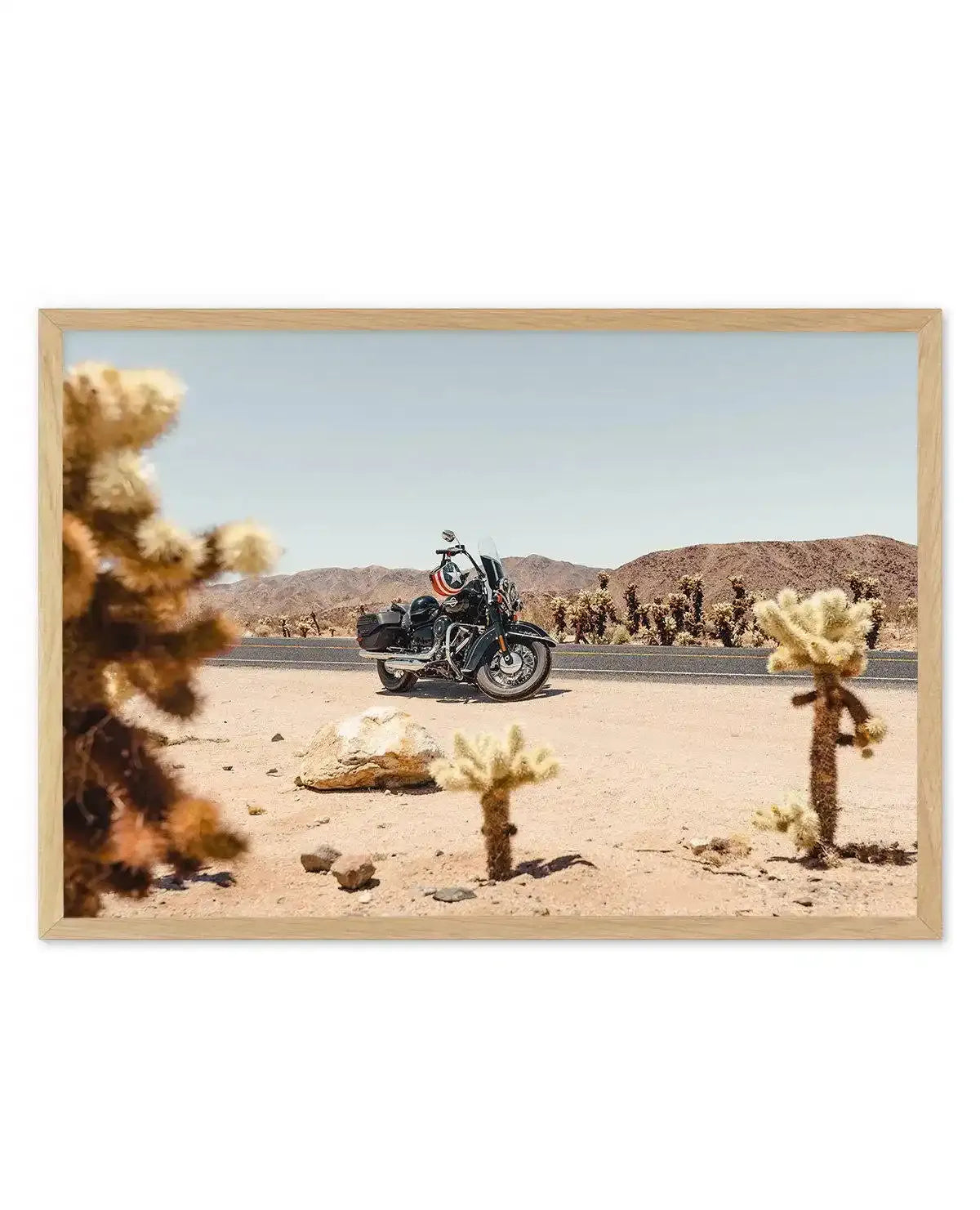 Cholla Garden By Tim Harris Art Print-PRINT-Olive et Oriel-Tim Harris-A5 | 5.8" x 8.3" | 14.8 x 21cm-Oak-With White Border-Buy-Australian-Art-Prints-Online-with-Olive-et-Oriel-Your-Artwork-Specialists-Austrailia-Decorate-With-Coastal-Photo-Wall-Art-Prints-From-Our-Beach-House-Artwork-Collection-Fine-Poster-and-Framed-Artwork