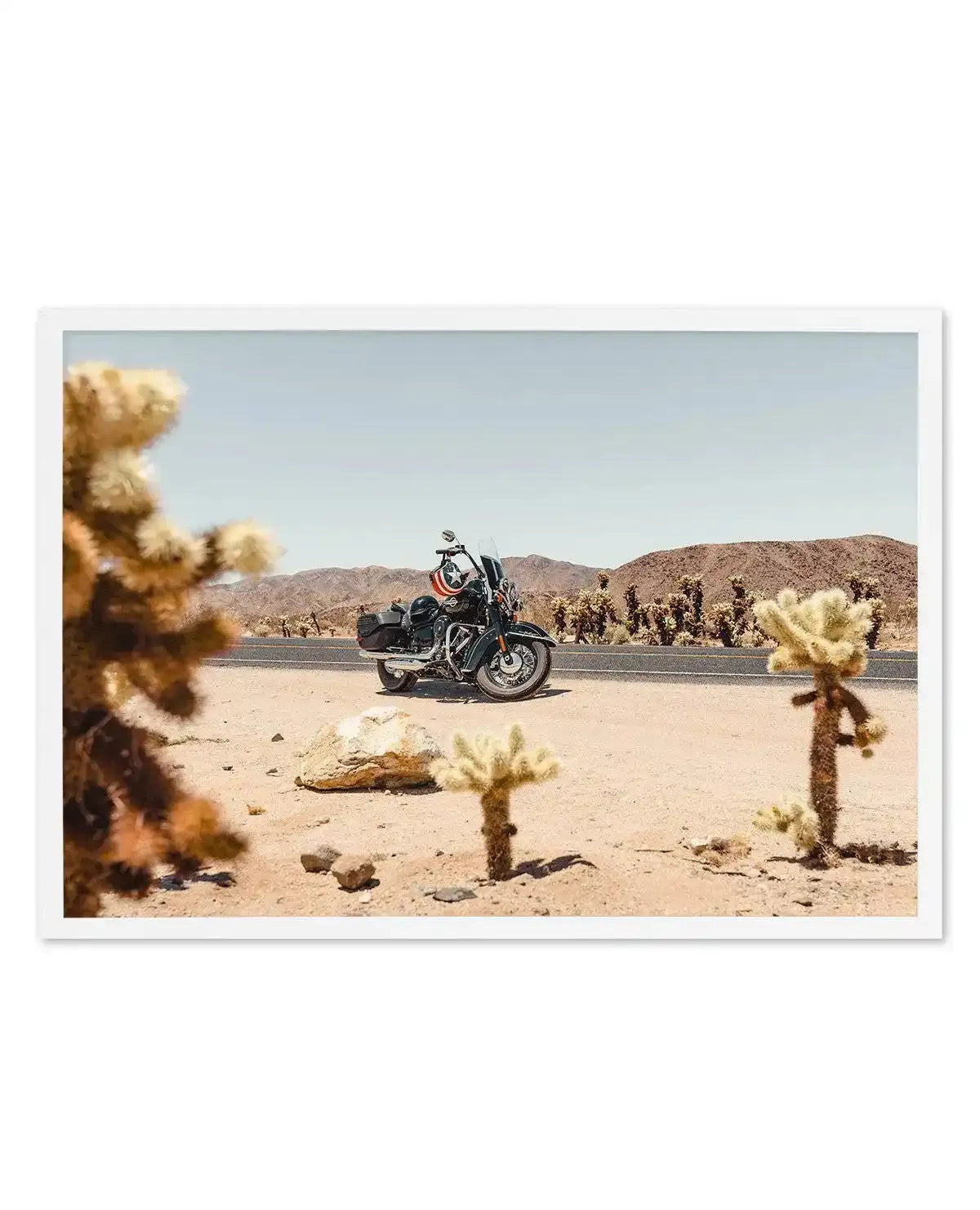 Cholla Garden By Tim Harris Art Print-PRINT-Olive et Oriel-Tim Harris-A5 | 5.8" x 8.3" | 14.8 x 21cm-White-With White Border-Buy-Australian-Art-Prints-Online-with-Olive-et-Oriel-Your-Artwork-Specialists-Austrailia-Decorate-With-Coastal-Photo-Wall-Art-Prints-From-Our-Beach-House-Artwork-Collection-Fine-Poster-and-Framed-Artwork