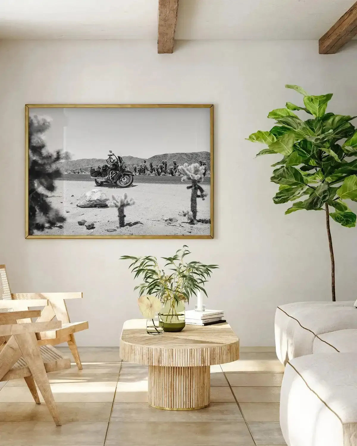 Cholla Garden By Tim Harris Art Print-PRINT-Olive et Oriel-Tim Harris-Buy-Australian-Art-Prints-Online-with-Olive-et-Oriel-Your-Artwork-Specialists-Austrailia-Decorate-With-Coastal-Photo-Wall-Art-Prints-From-Our-Beach-House-Artwork-Collection-Fine-Poster-and-Framed-Artwork