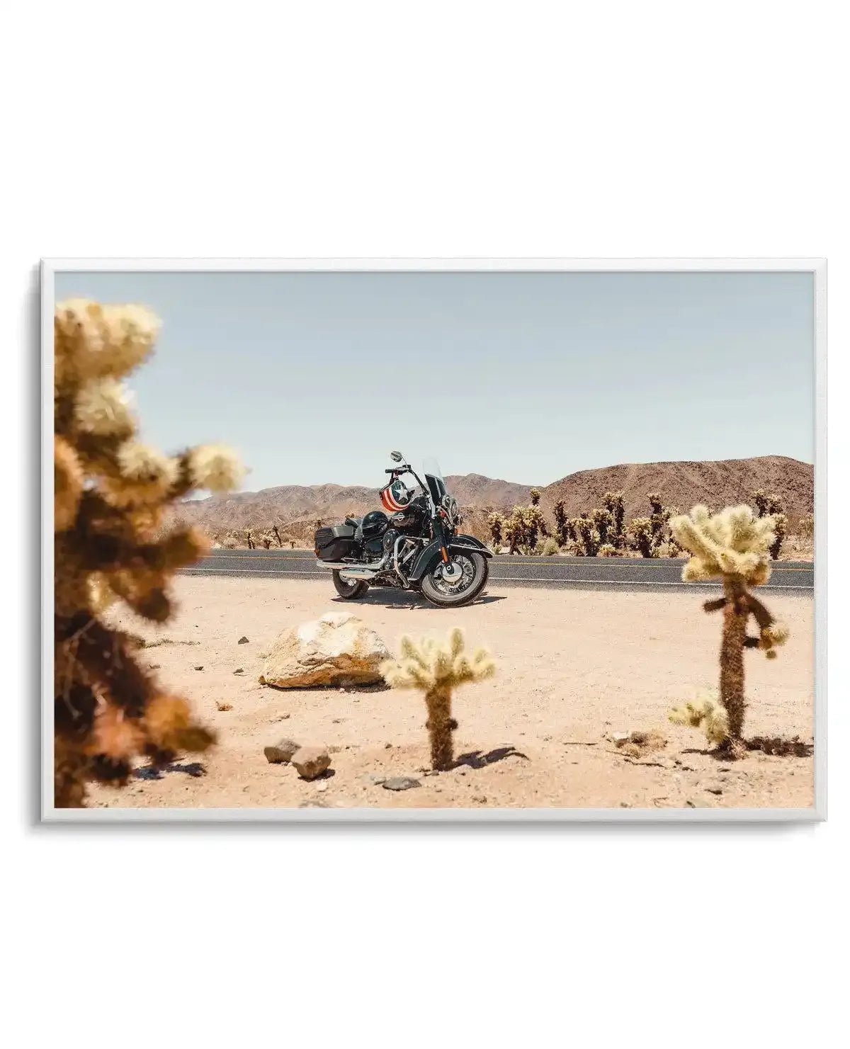 Cholla Garden By Tim Harris Art Print-PRINT-Olive et Oriel-Tim Harris-A5 | 5.8" x 8.3" | 14.8 x 21cm-Unframed Art Print-With White Border-Buy-Australian-Art-Prints-Online-with-Olive-et-Oriel-Your-Artwork-Specialists-Austrailia-Decorate-With-Coastal-Photo-Wall-Art-Prints-From-Our-Beach-House-Artwork-Collection-Fine-Poster-and-Framed-Artwork