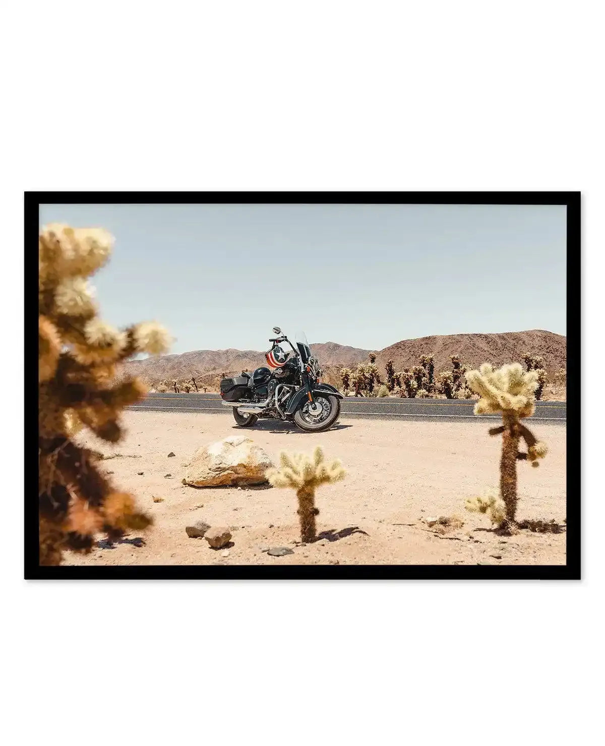 Cholla Garden By Tim Harris Art Print-PRINT-Olive et Oriel-Tim Harris-A5 | 5.8" x 8.3" | 14.8 x 21cm-Black-With White Border-Buy-Australian-Art-Prints-Online-with-Olive-et-Oriel-Your-Artwork-Specialists-Austrailia-Decorate-With-Coastal-Photo-Wall-Art-Prints-From-Our-Beach-House-Artwork-Collection-Fine-Poster-and-Framed-Artwork