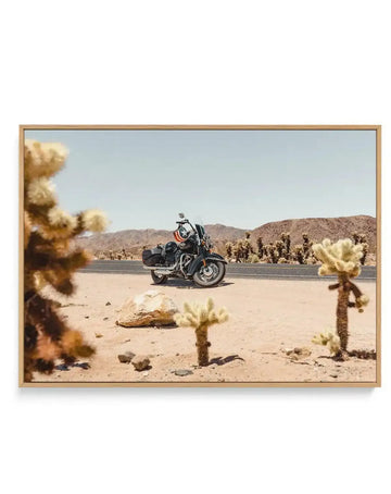 "Framed canvas print of a desert landscape featuring a black motorcycle parked on the side of a road. The scene includes numerous cholla cacti with light brown and green spiky textures, scattered rocks, and distant mountains under a pale blue sky. The motorcycle has a helmet with a star design hanging from its handlebars. The canvas is displayed in a light wooden frame."