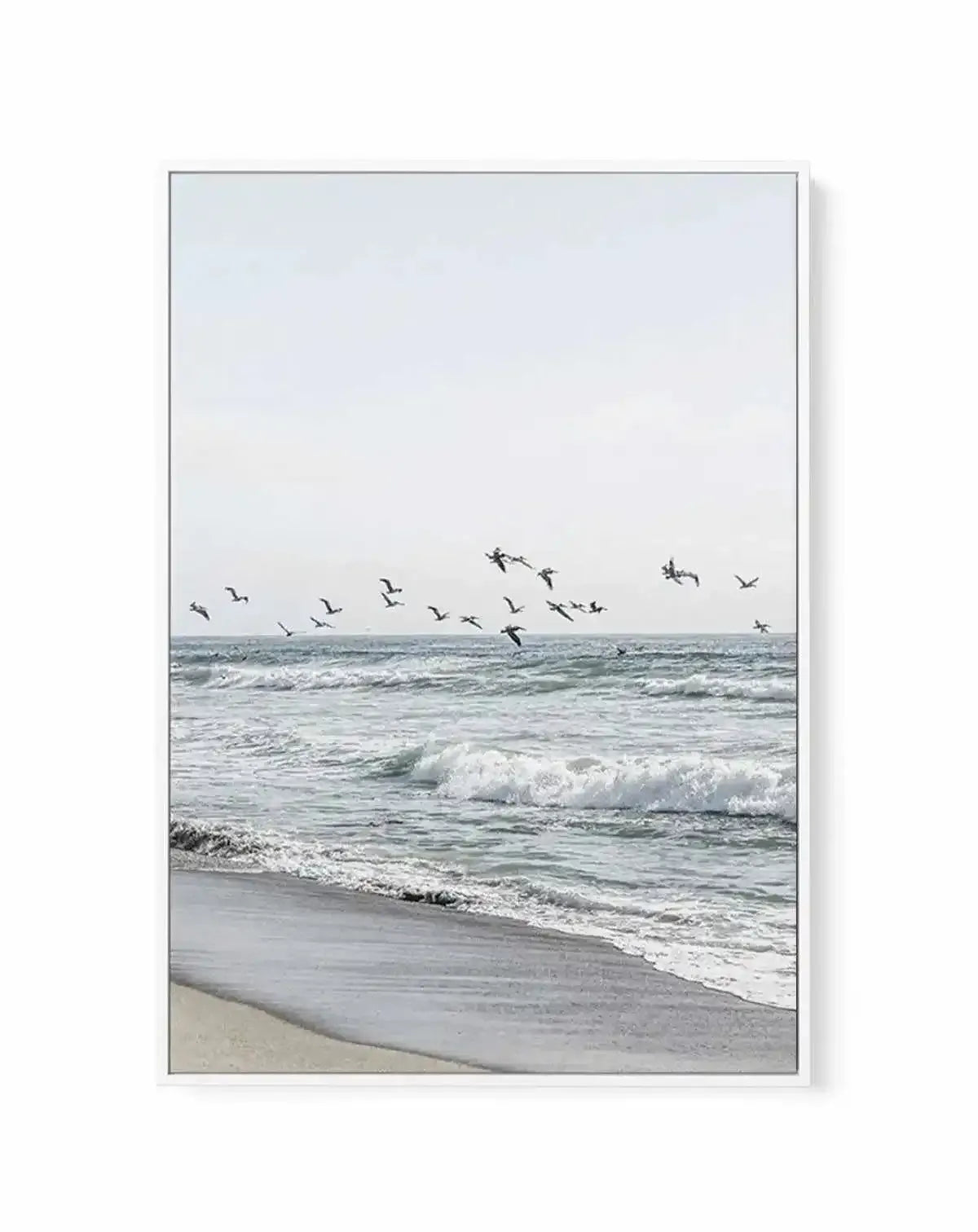 Coastal Birds | Framed Canvas-CANVAS-You can shop wall art online with Olive et Oriel for everything from abstract art to fun kids wall art. Our beautiful modern art prints and canvas art are available from large canvas prints to wall art paintings and our proudly Australian artwork collection offers only the highest quality framed large wall art and canvas art Australia - You can buy fashion photography prints or Hampton print posters and paintings on canvas from Olive et Oriel and have them de