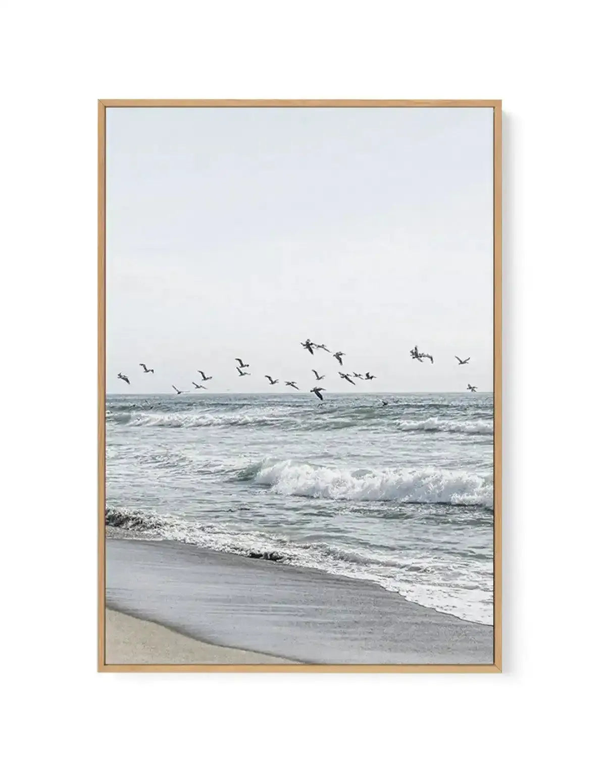 Coastal Birds | Framed Canvas-CANVAS-You can shop wall art online with Olive et Oriel for everything from abstract art to fun kids wall art. Our beautiful modern art prints and canvas art are available from large canvas prints to wall art paintings and our proudly Australian artwork collection offers only the highest quality framed large wall art and canvas art Australia - You can buy fashion photography prints or Hampton print posters and paintings on canvas from Olive et Oriel and have them de