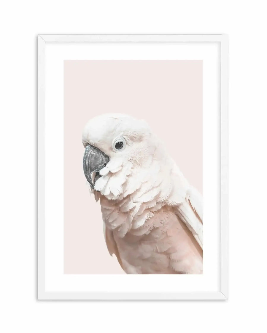 Framed art print of a white cockatoo with grey beak tilted slightly leftward against a soft blush pink background. The illustration features delicate watercolor-style rendering with subtle peachy and tan tones in the bird's wing feathers. White wooden frame with white border surrounding the artwork.