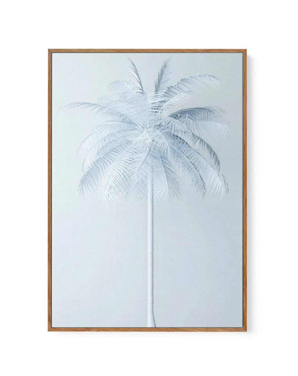 Cool In Blue Palm | Framed Canvas-CANVAS-You can shop wall art online with Olive et Oriel for everything from abstract art to fun kids wall art. Our beautiful modern art prints and canvas art are available from large canvas prints to wall art paintings and our proudly Australian artwork collection offers only the highest quality framed large wall art and canvas art Australia - You can buy fashion photography prints or Hampton print posters and paintings on canvas from Olive et Oriel and have the