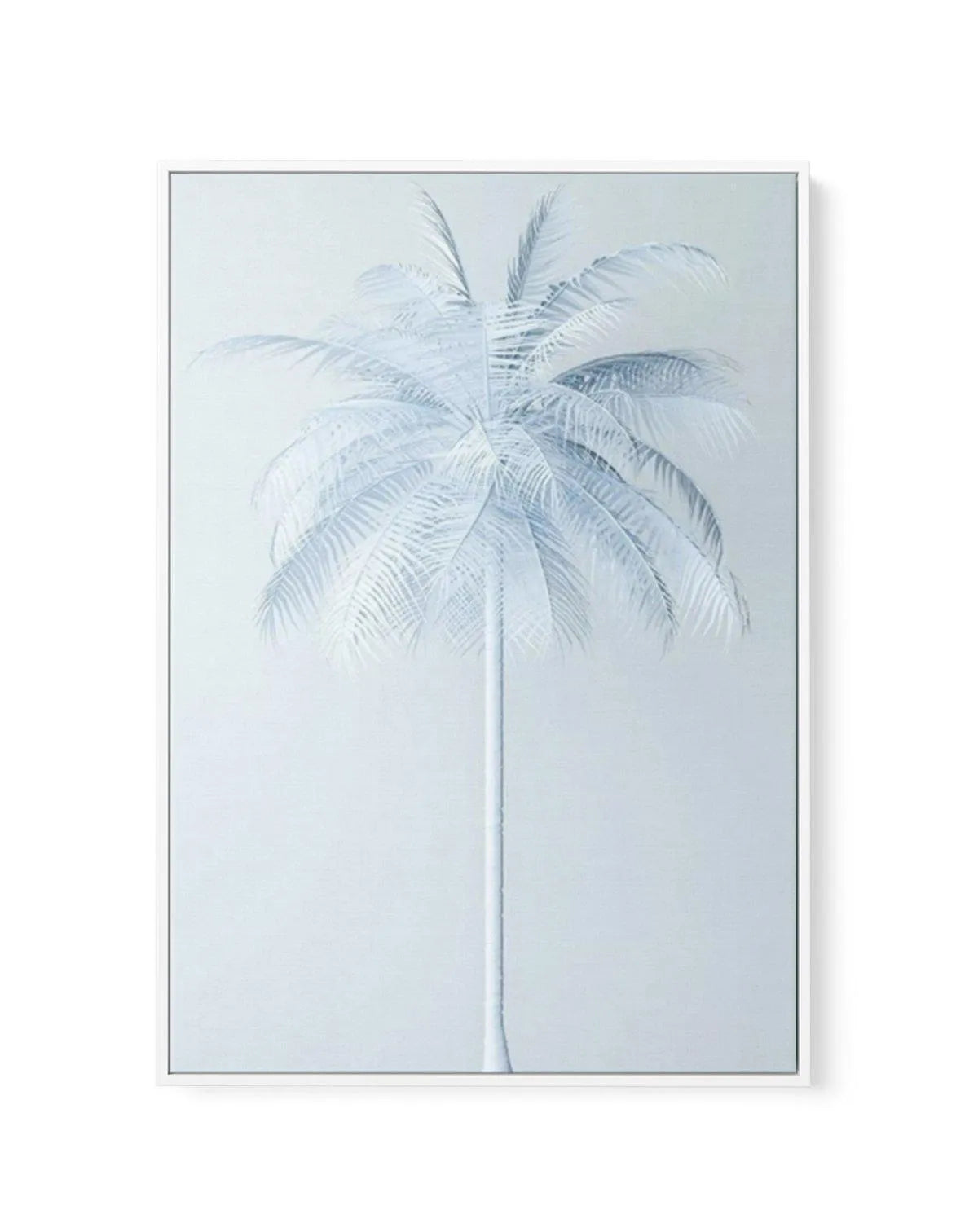 Cool In Blue Palm | Framed Canvas-CANVAS-You can shop wall art online with Olive et Oriel for everything from abstract art to fun kids wall art. Our beautiful modern art prints and canvas art are available from large canvas prints to wall art paintings and our proudly Australian artwork collection offers only the highest quality framed large wall art and canvas art Australia - You can buy fashion photography prints or Hampton print posters and paintings on canvas from Olive et Oriel and have the