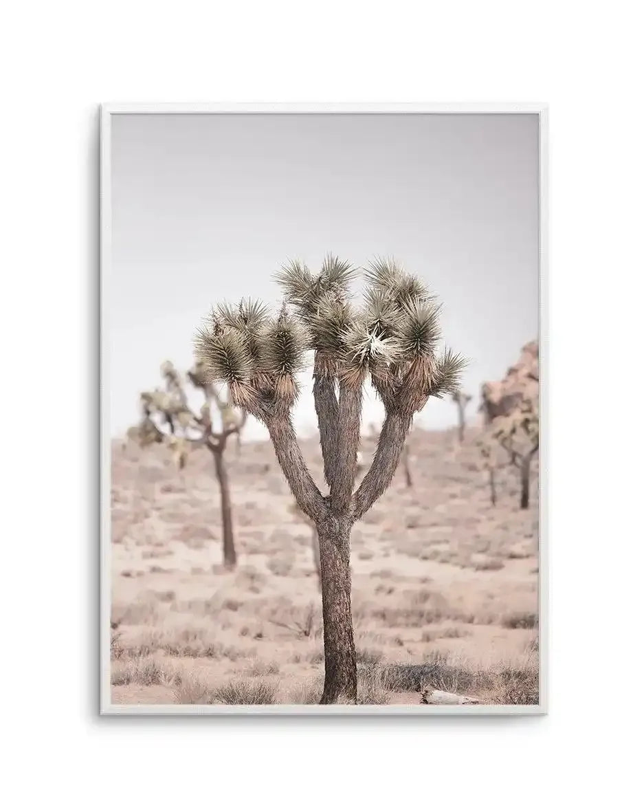 Cool Joshua Tree II | PT Art Print-PRINT-Olive et Oriel-Olive et Oriel-A4 | 8.3" x 11.7" | 21 x 29.7cm-Unframed Art Print-With White Border-Buy-Australian-Art-Prints-Online-with-Olive-et-Oriel-Your-Artwork-Specialists-Austrailia-Decorate-With-Coastal-Photo-Wall-Art-Prints-From-Our-Beach-House-Artwork-Collection-Fine-Poster-and-Framed-Artwork