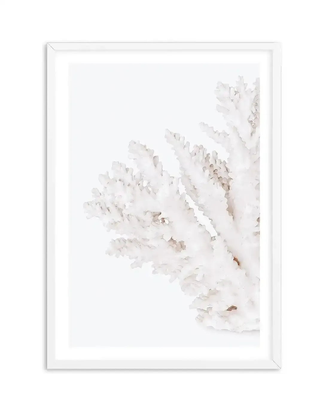 Coral II | Left Art Print-PRINT-Olive et Oriel-Olive et Oriel-A5 | 5.8" x 8.3" | 14.8 x 21cm-White-With White Border-Buy-Australian-Art-Prints-Online-with-Olive-et-Oriel-Your-Artwork-Specialists-Austrailia-Decorate-With-Coastal-Photo-Wall-Art-Prints-From-Our-Beach-House-Artwork-Collection-Fine-Poster-and-Framed-Artwork