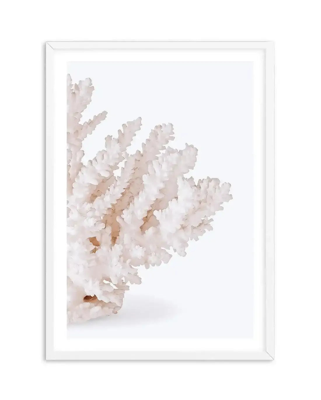 Coral II | Right Art Print-PRINT-Olive et Oriel-Olive et Oriel-A5 | 5.8" x 8.3" | 14.8 x 21cm-White-With White Border-Buy-Australian-Art-Prints-Online-with-Olive-et-Oriel-Your-Artwork-Specialists-Austrailia-Decorate-With-Coastal-Photo-Wall-Art-Prints-From-Our-Beach-House-Artwork-Collection-Fine-Poster-and-Framed-Artwork
