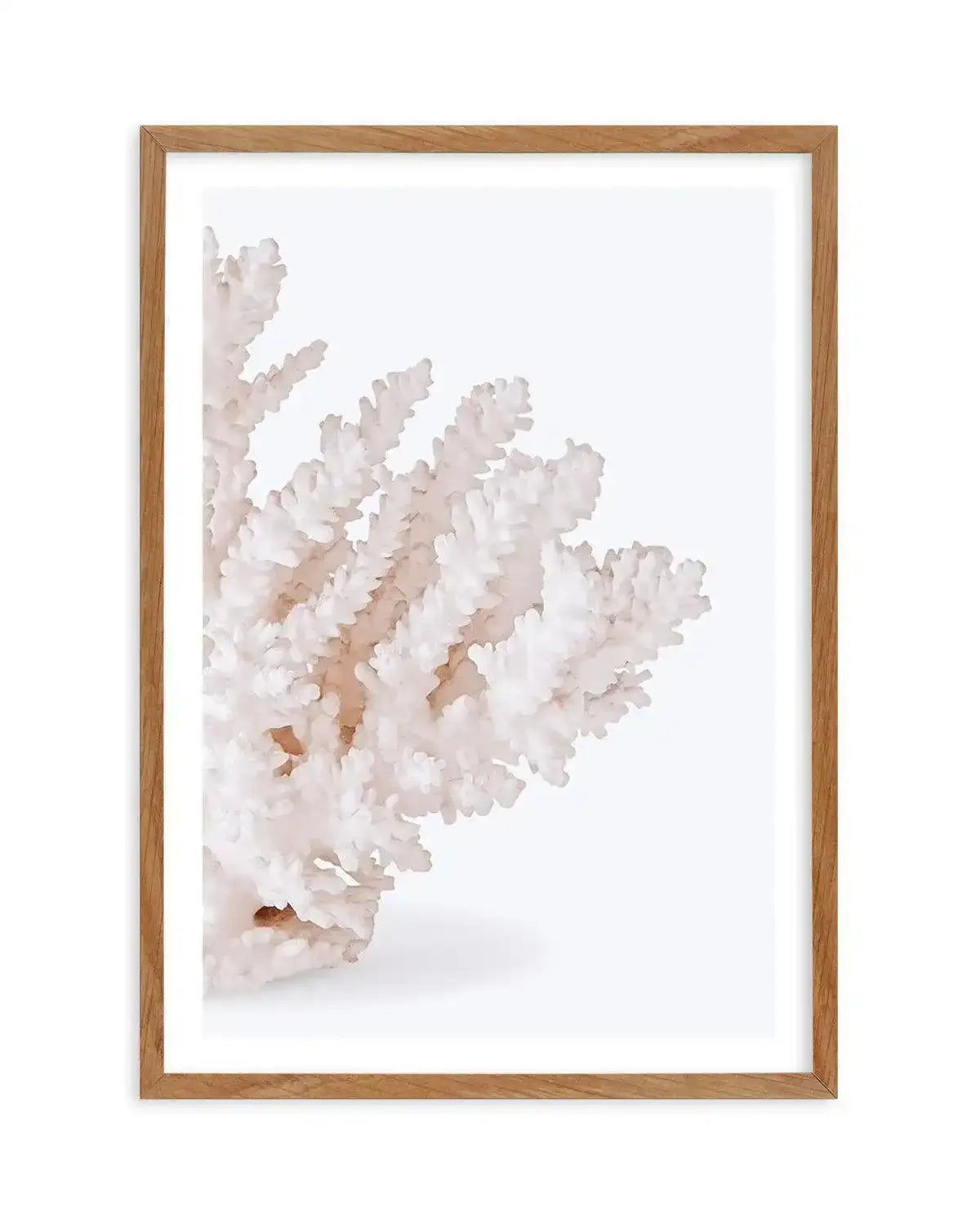 Coral II | Right Art Print-PRINT-Olive et Oriel-Olive et Oriel-50x70 cm | 19.6" x 27.5"-Walnut-With White Border-Buy-Australian-Art-Prints-Online-with-Olive-et-Oriel-Your-Artwork-Specialists-Austrailia-Decorate-With-Coastal-Photo-Wall-Art-Prints-From-Our-Beach-House-Artwork-Collection-Fine-Poster-and-Framed-Artwork